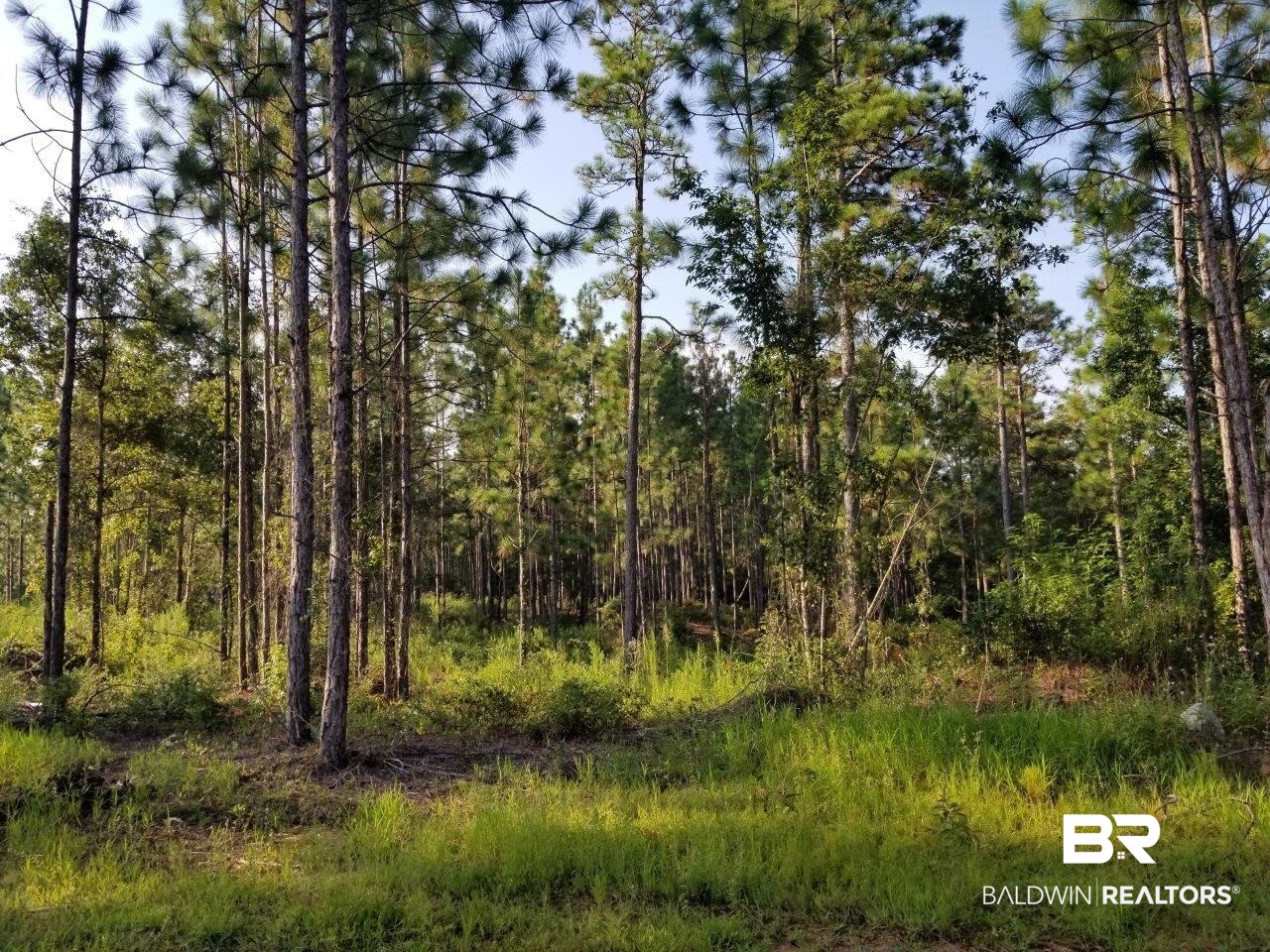 0 Jerkins Loop Atmore, AL 36502 - Photo 35 of 50