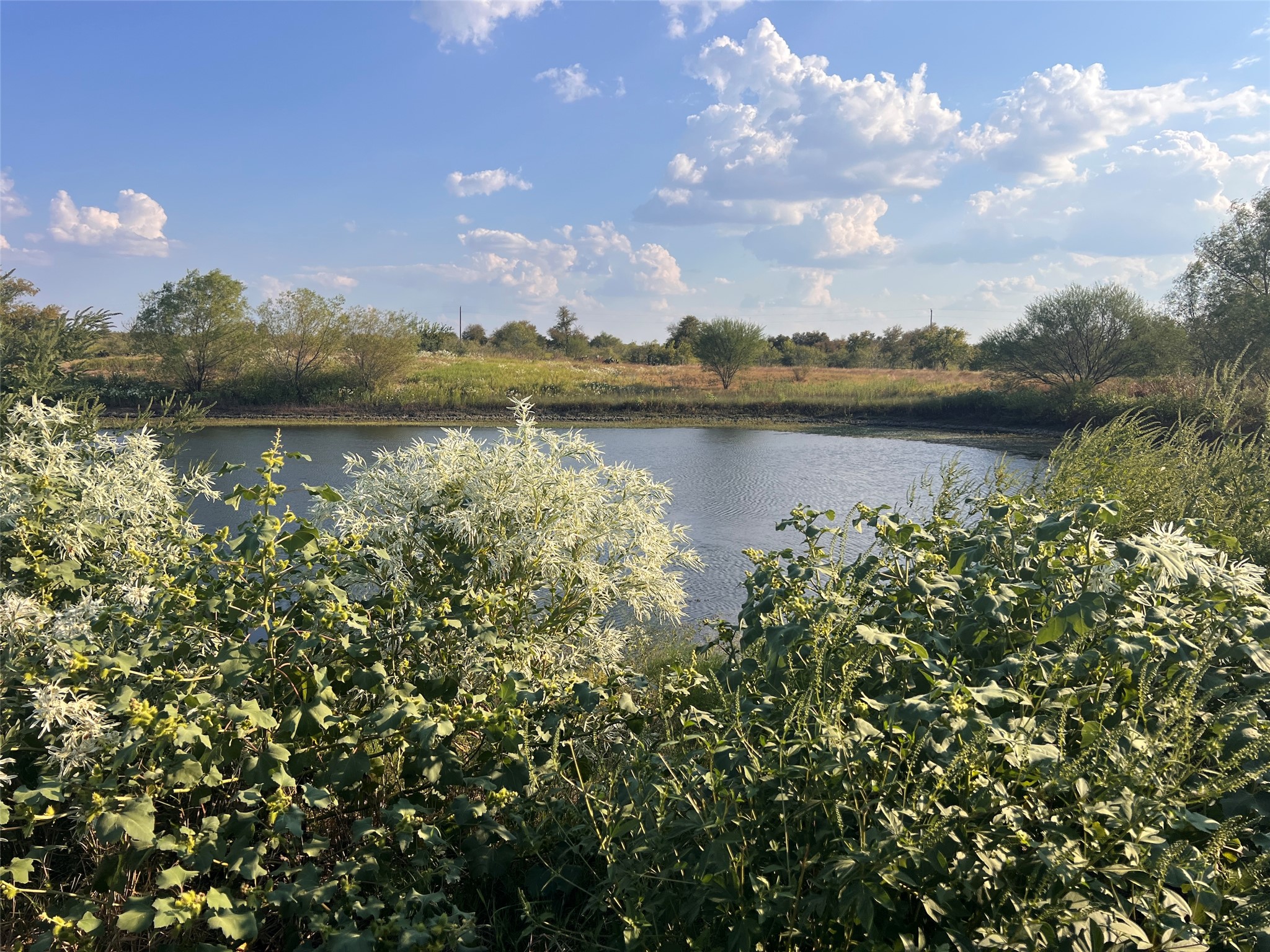 3191 County Road 463 Elgin, TX 78621 - Photo 4 of 34 a view of lake