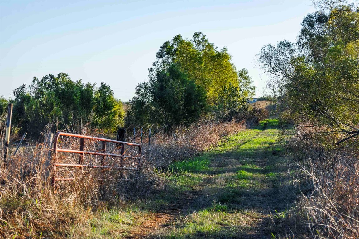 3191 County Road 463 Elgin, TX 78621 - Photo 7 of 33 a backyard of a house with lots of green space