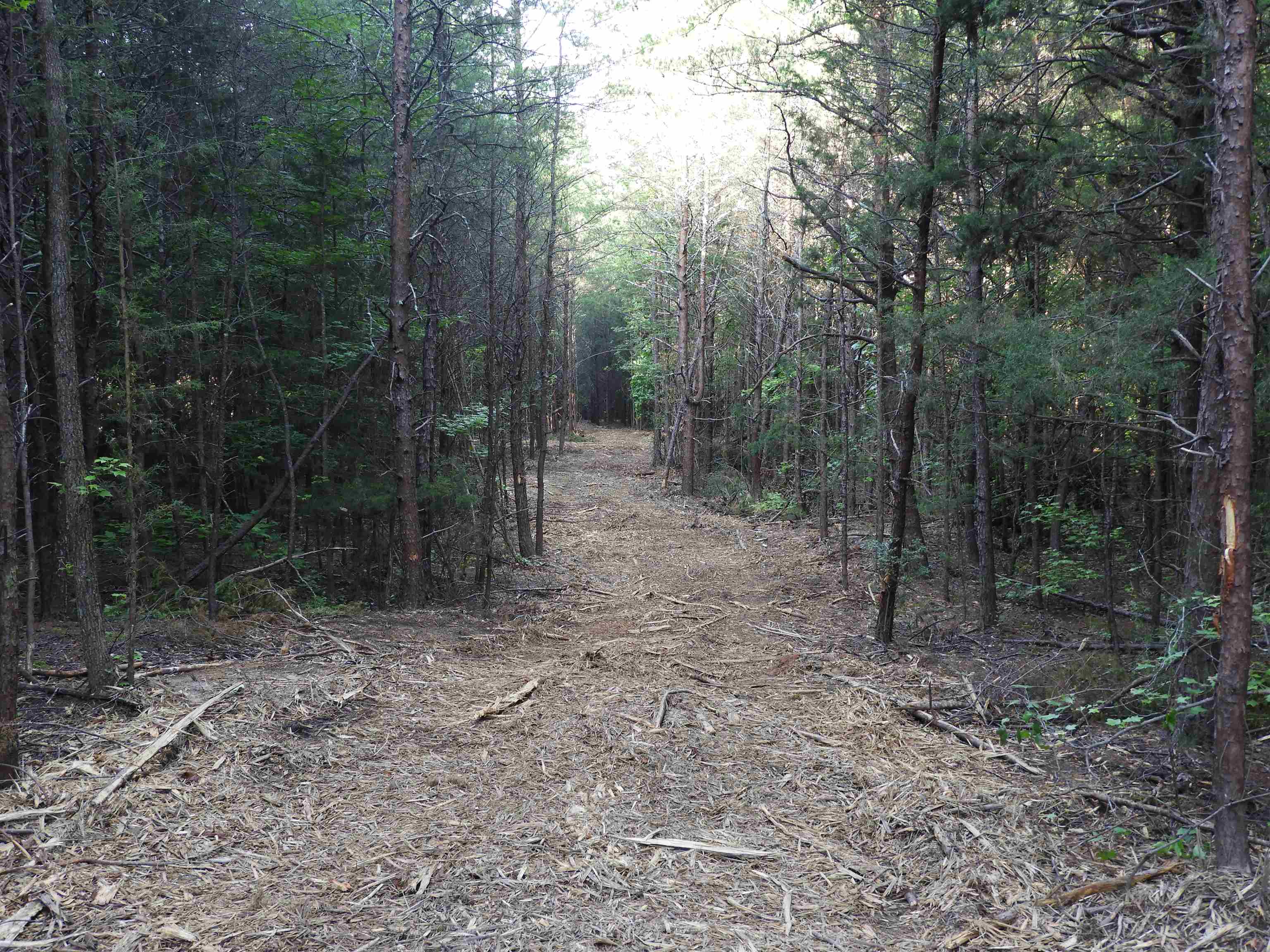 2109-tract D 2109-tract D Riddle Road Pauline, SC 29374 - Photo 42 of 42
