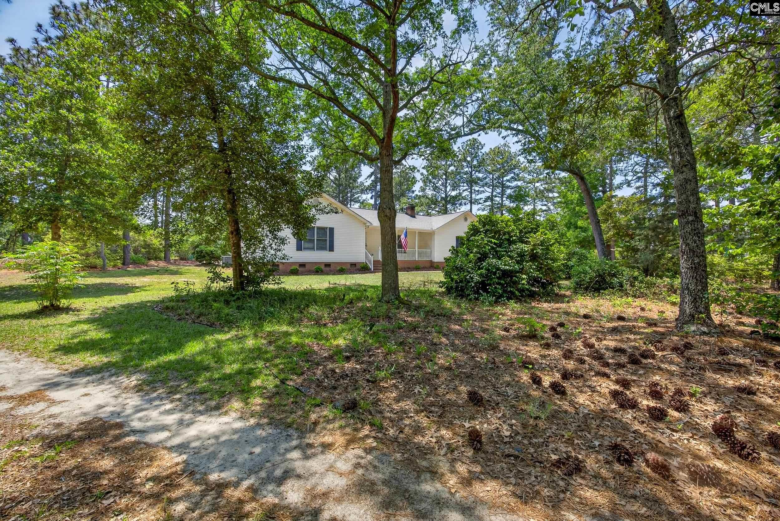 614 Longs Pond Road Lexington, SC 29073 - Photo 42 of 74