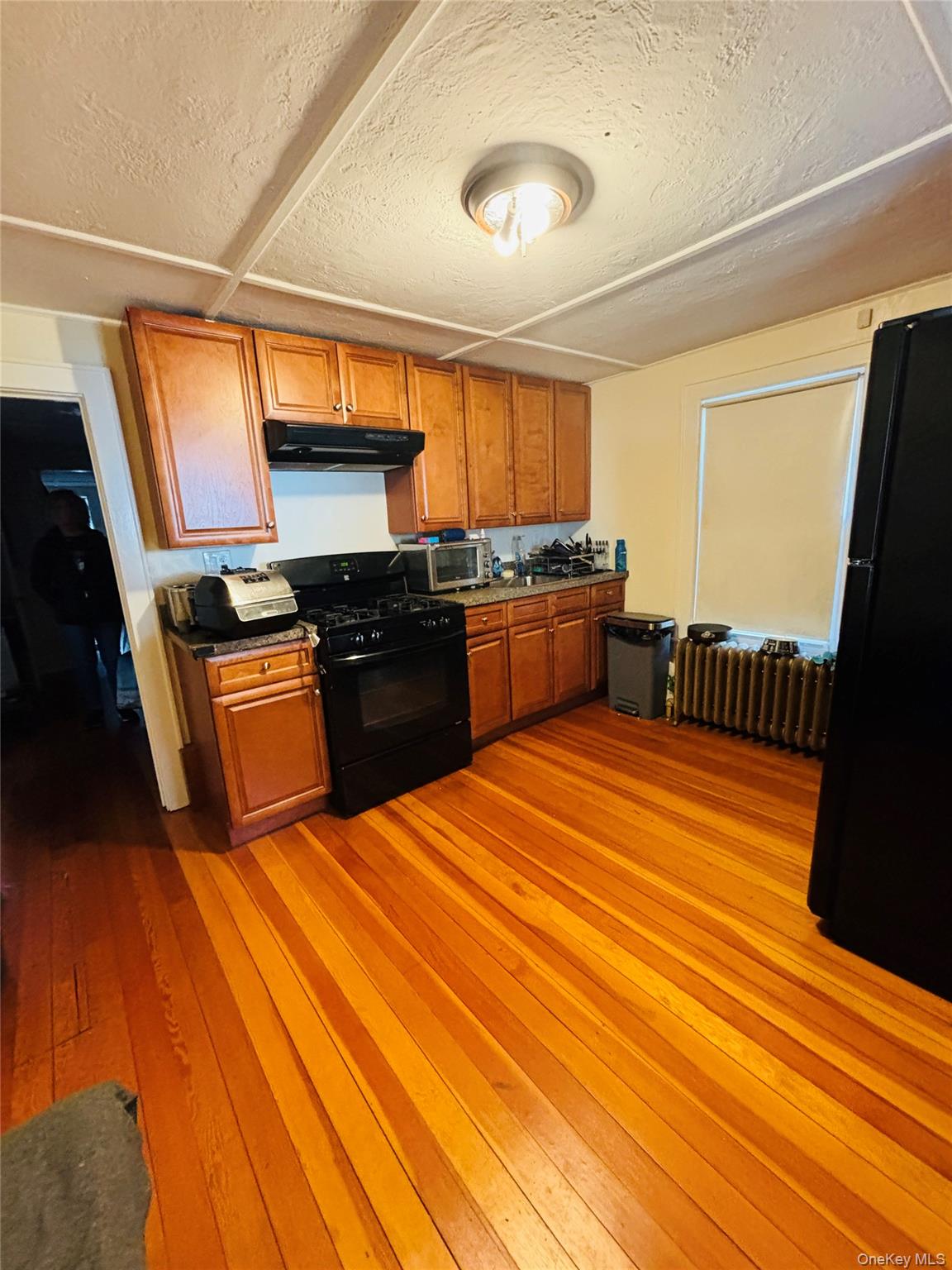 1206 Main Street Peekskill, NY 10566 - Photo 16 of 59 Apartment # 1L - First floor left - This is a cute kitchen with space for a table.
