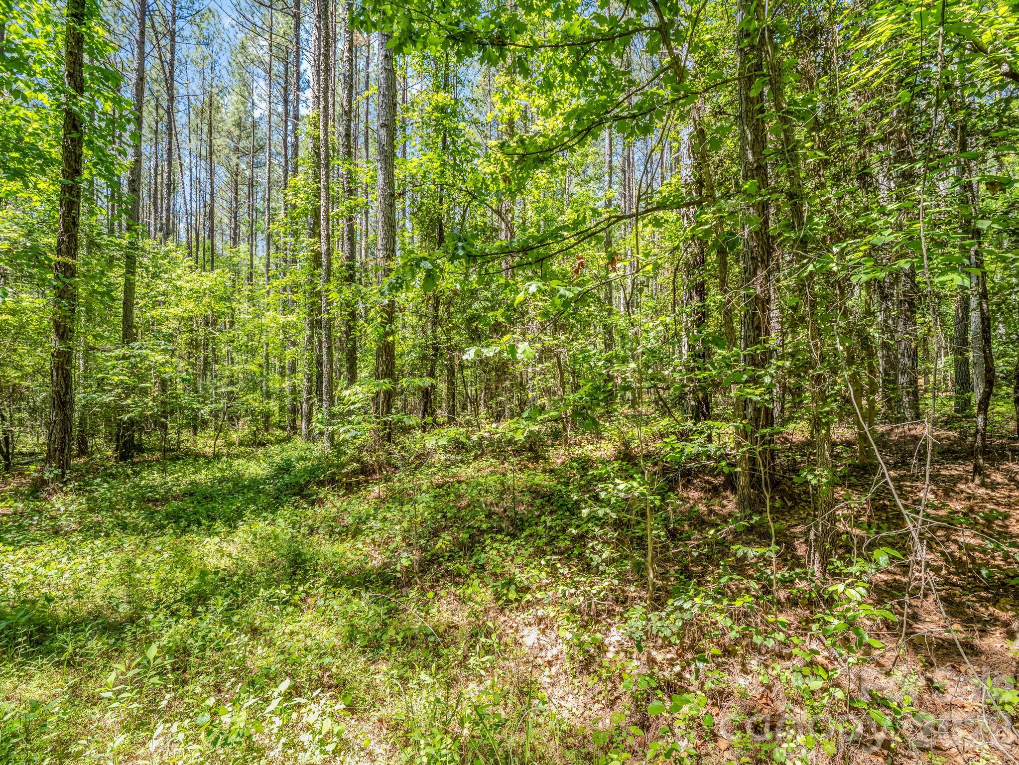 0 Jim Dobbins Road Rutherfordton, NC 28139 - Photo 28 of 39 a view of a garden