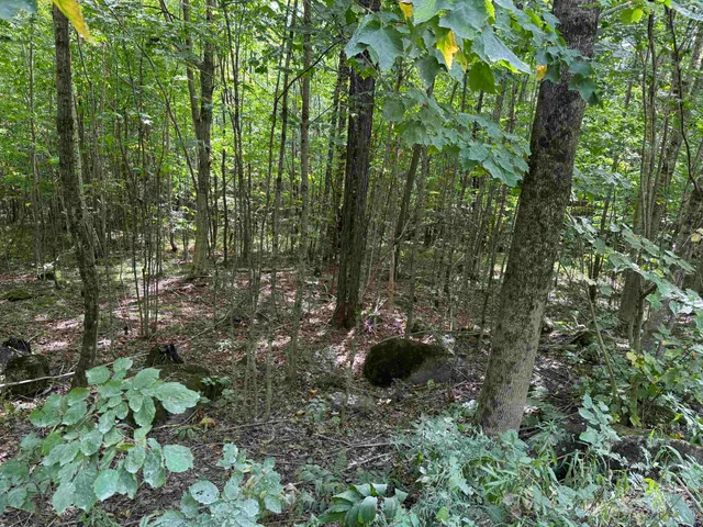 $169,000 | 0 Granby Road, North Concord, VT 05858