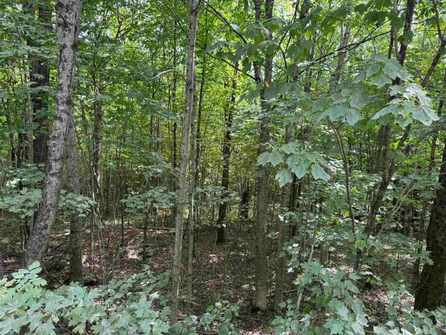 $169,000 | 0 Granby Road, North Concord, VT 05858