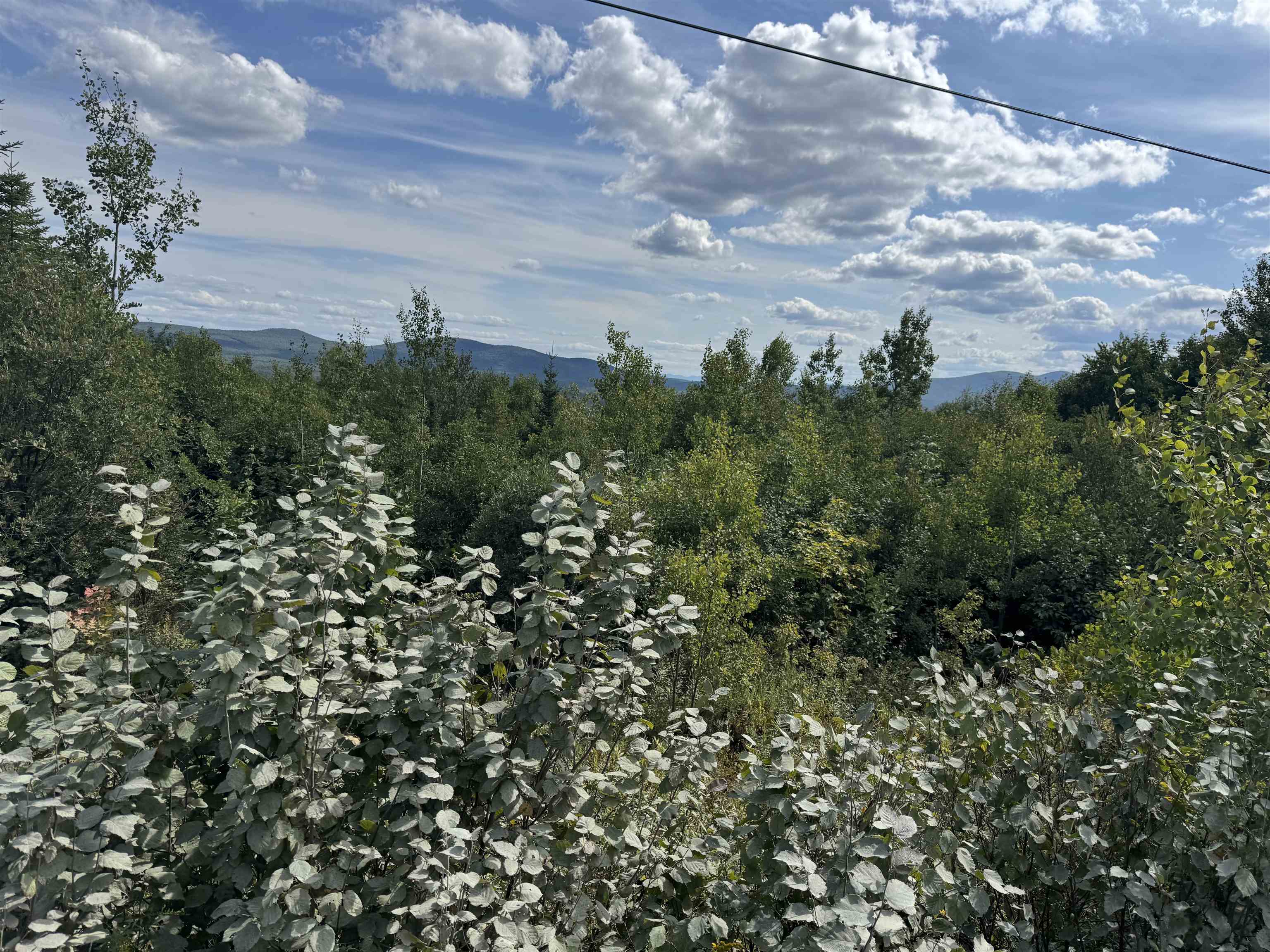 0 Granby Road North Concord, VT 05858 - Photo 6 of 12