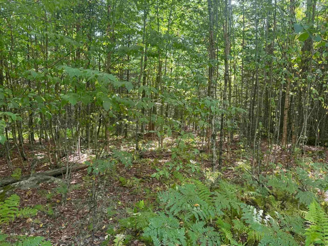 $169,000 | 0 Granby Road, North Concord, VT 05858