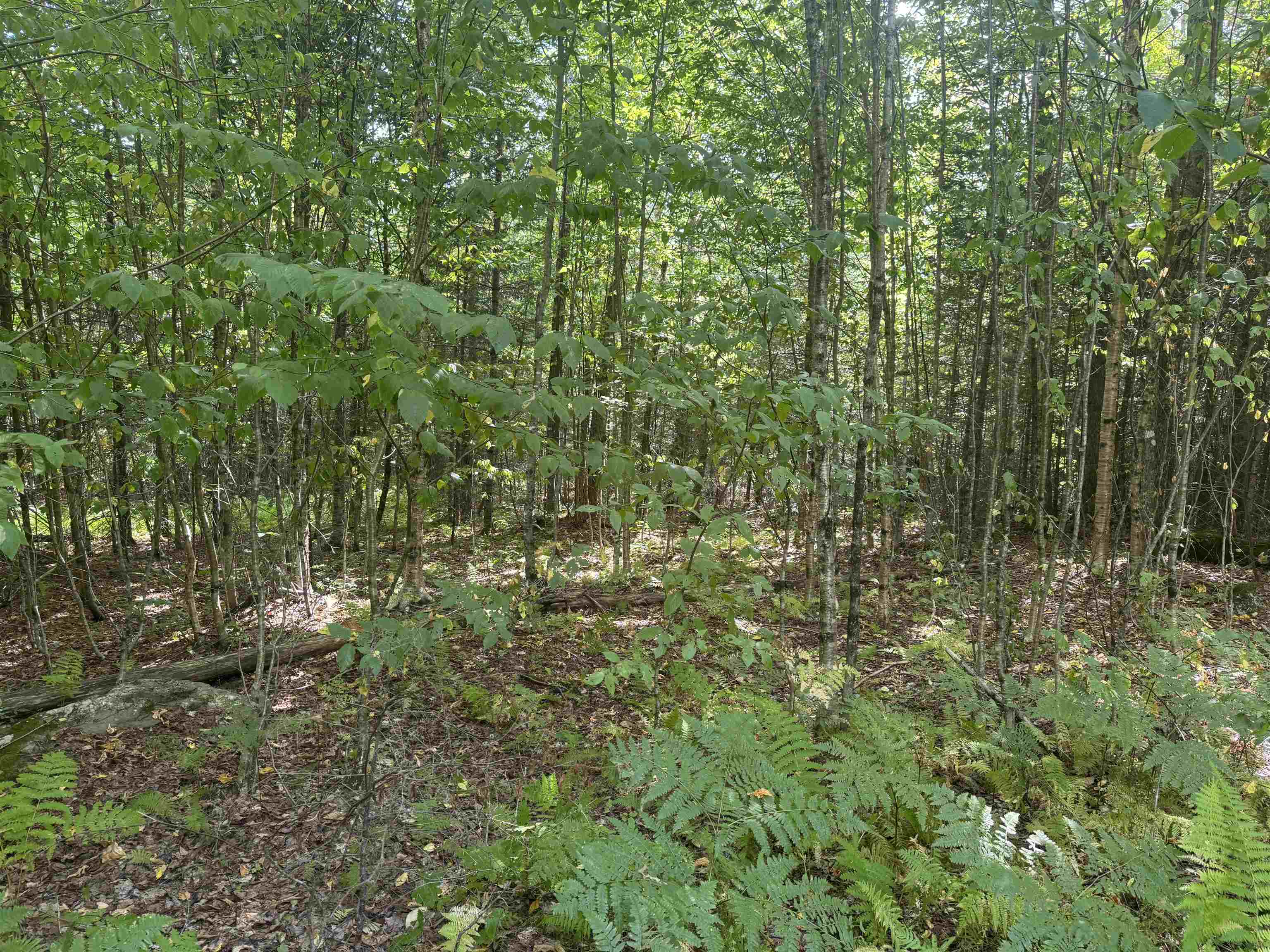 0 Granby Road North Concord, VT 05858 - Photo 9 of 12