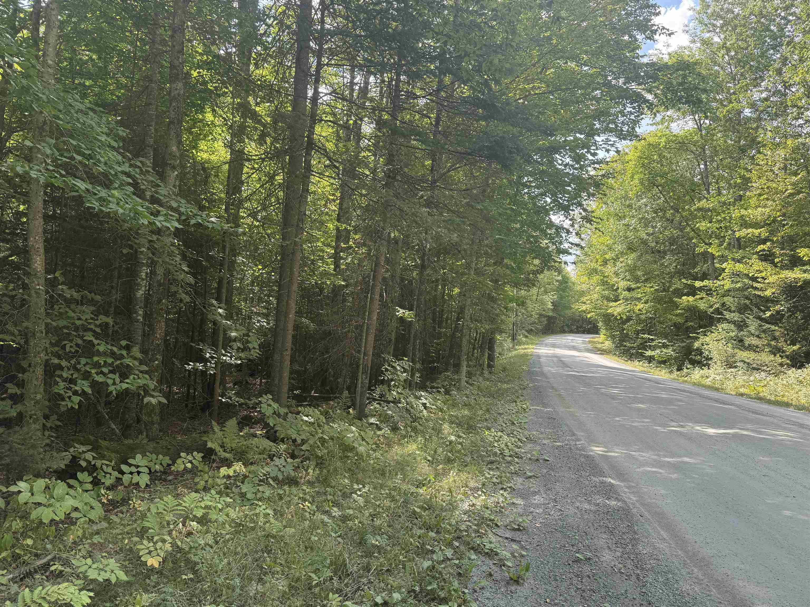 0 Granby Road North Concord, VT 05858 - Photo 10 of 12