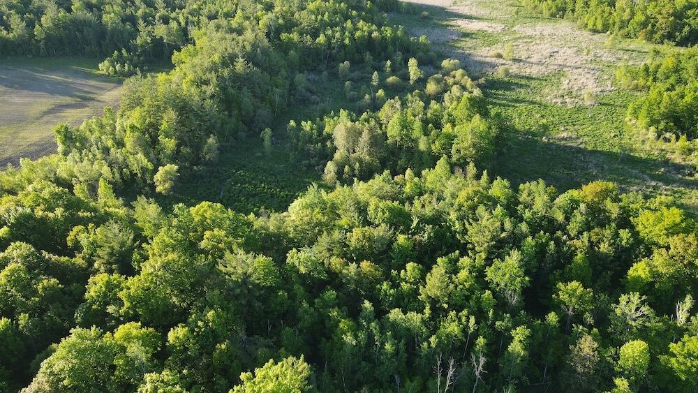 Vl Melcher Road Prescott, MI 48756 - Photo 23 of 65 DJI_0824