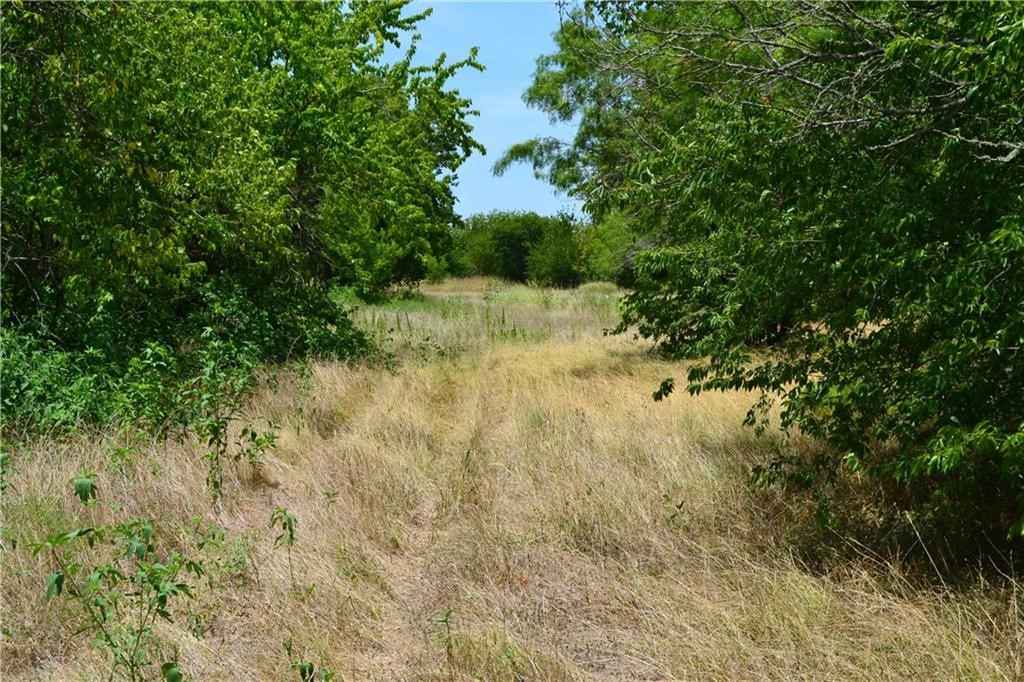 11248 Tom Sassman Road Austin, TX 78747 - Photo 6 of 24