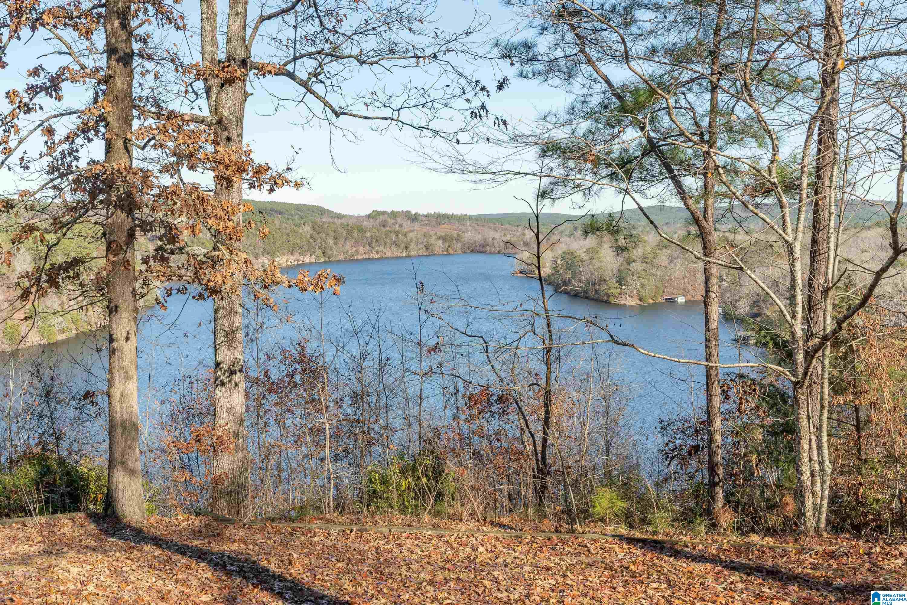 901 Old Patton Ferry Road Adger, AL 35006 - Photo 2 of 38