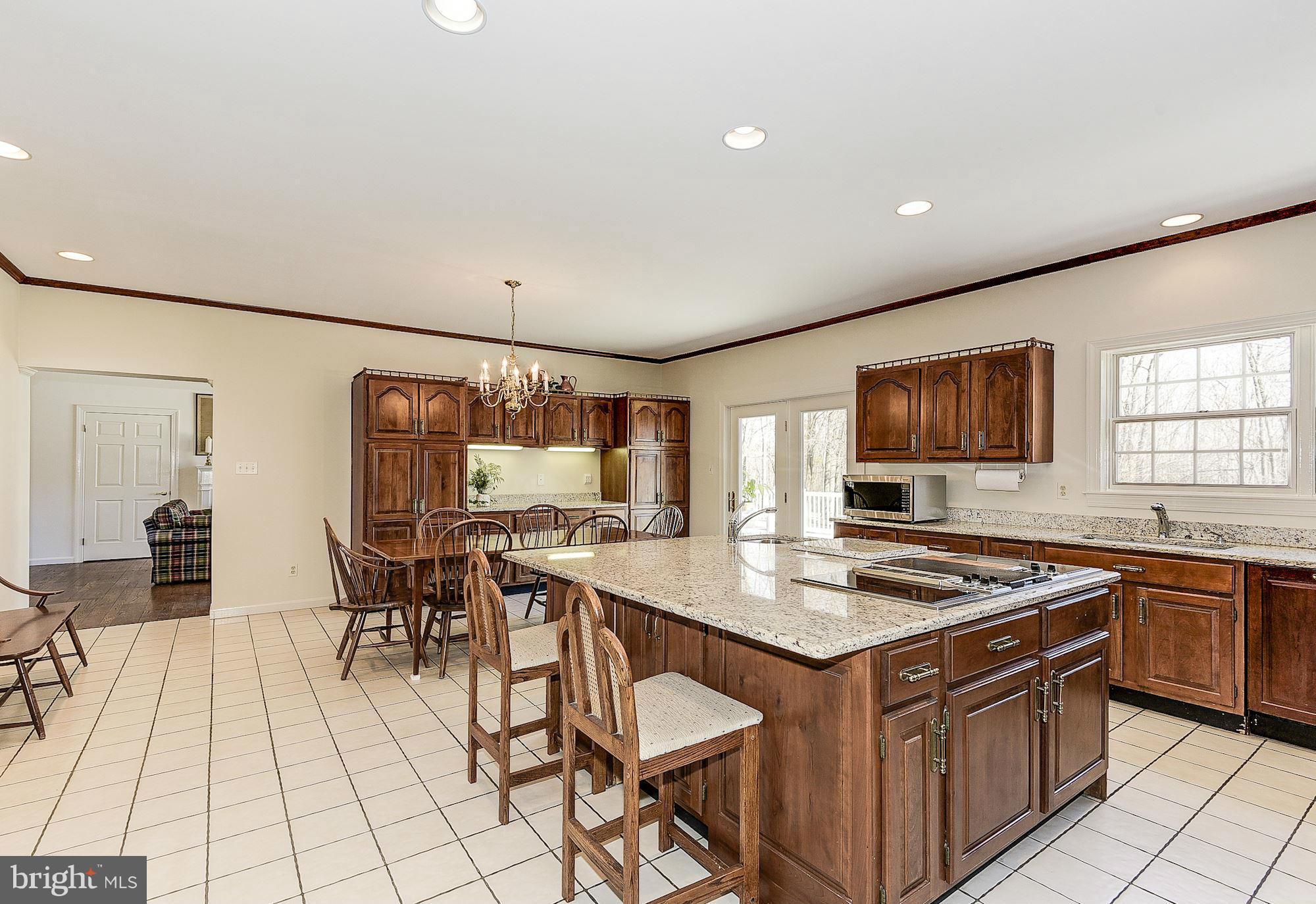 19830 Bucklodge Road Boyds, MD 20841 - Photo 11 of 30 Kitchen with French doors to deck