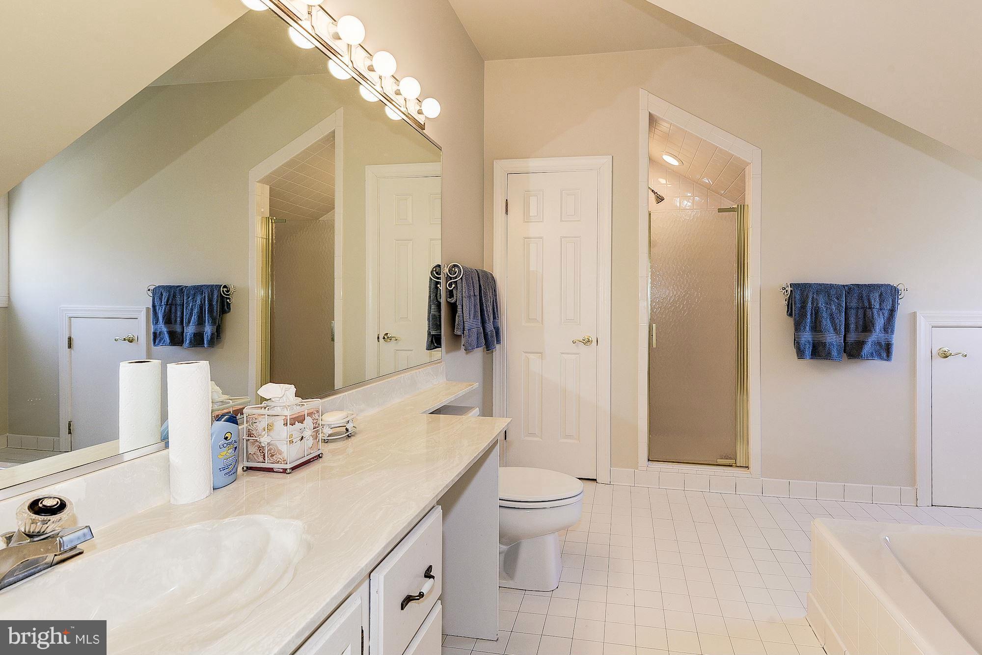 19830 Bucklodge Road Boyds, MD 20841 - Photo 16 of 30 Full bath for private bedroom suite