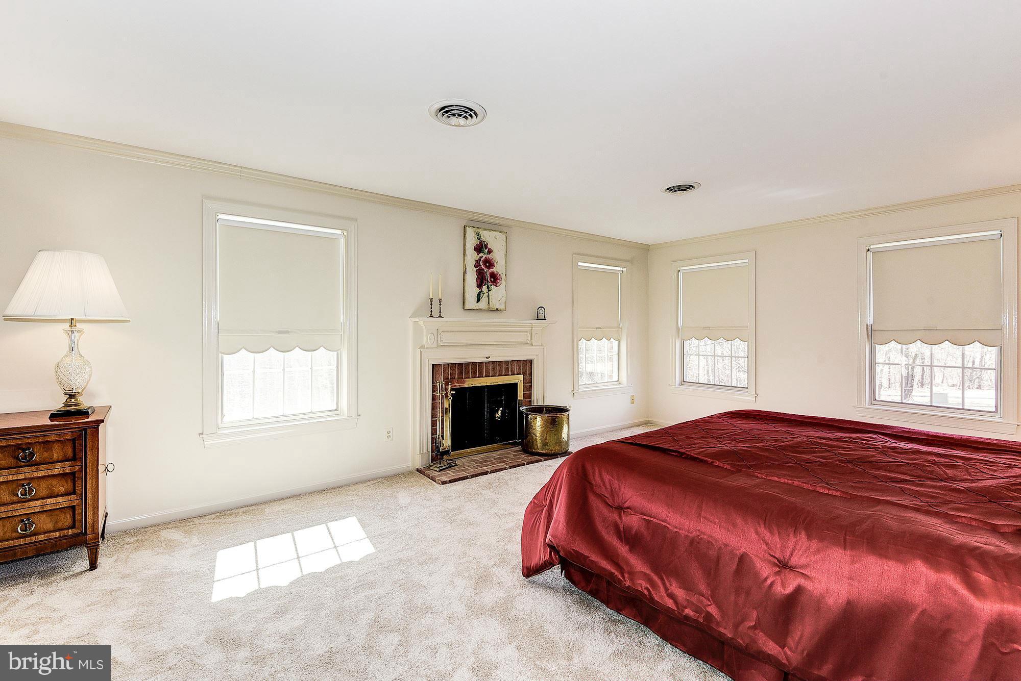 19830 Bucklodge Road Boyds, MD 20841 - Photo 18 of 30 Fireplace