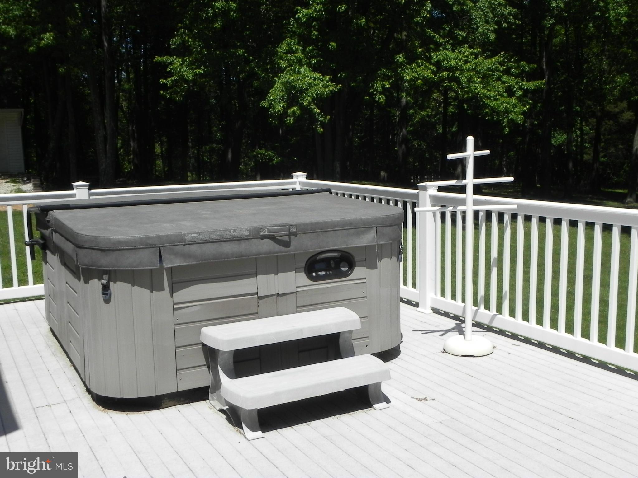 19830 Bucklodge Road Boyds, MD 20841 - Photo 27 of 30 Trek Deck with hot tub
