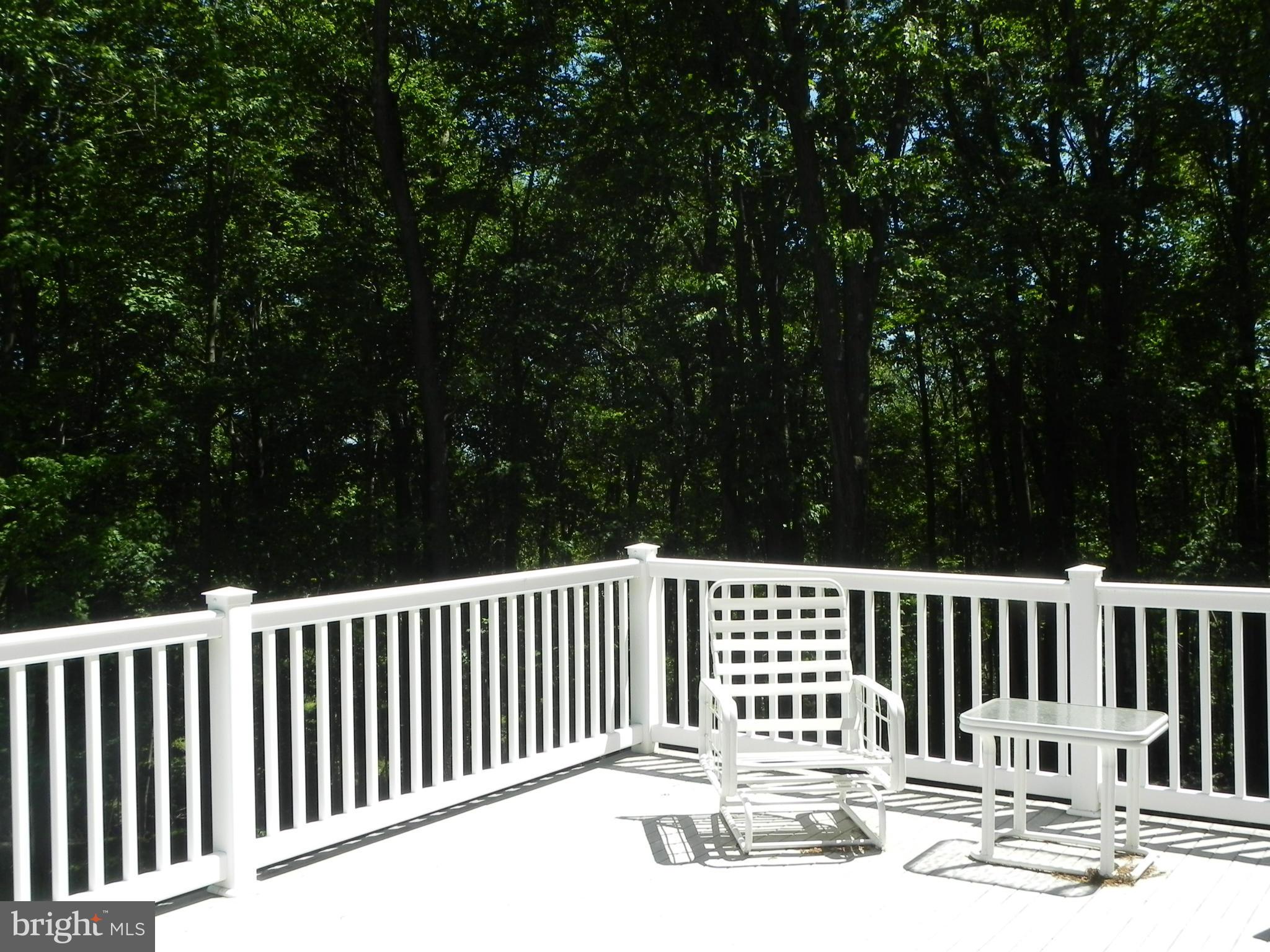 19830 Bucklodge Road Boyds, MD 20841 - Photo 28 of 30 Trek Deck