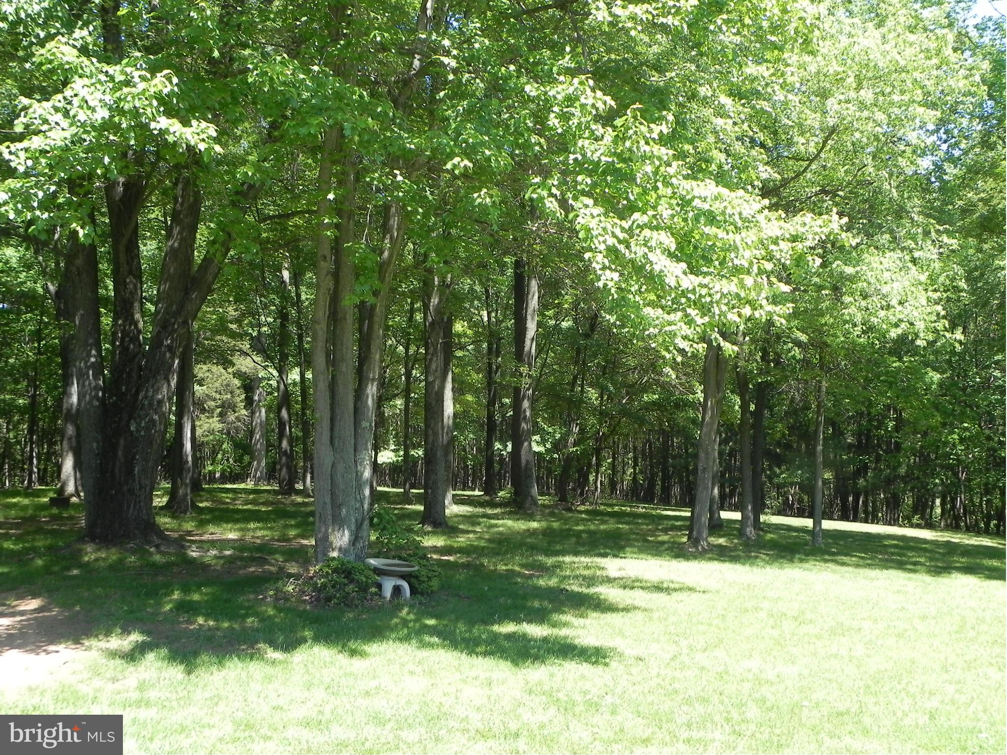 19830 Bucklodge Road Boyds, MD 20841 - Photo 30 of 30 25 acres