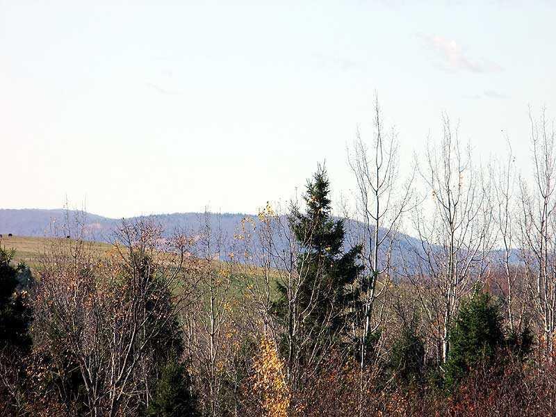 12-29 Lincoln Road Houlton, ME 04730 - Photo 25 of 25 Land.