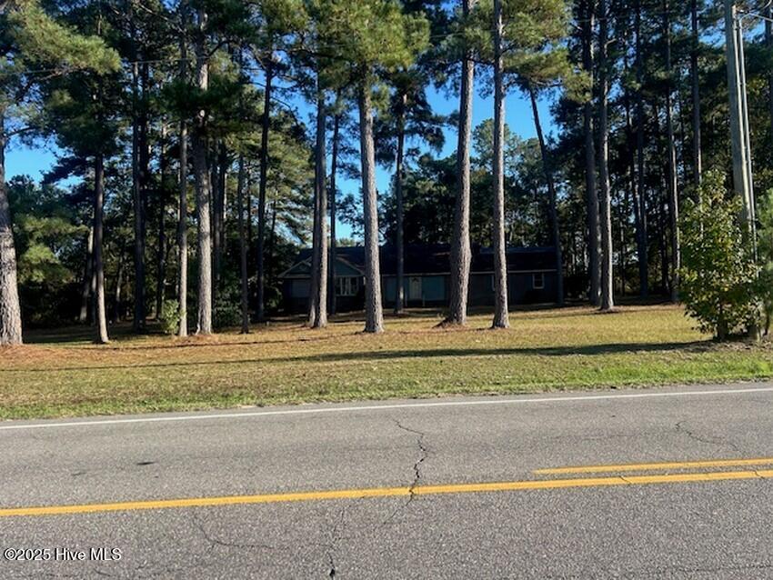 747 Butler Island Road Roseboro, NC 28382 - Photo 2 of 26 IMG_2259