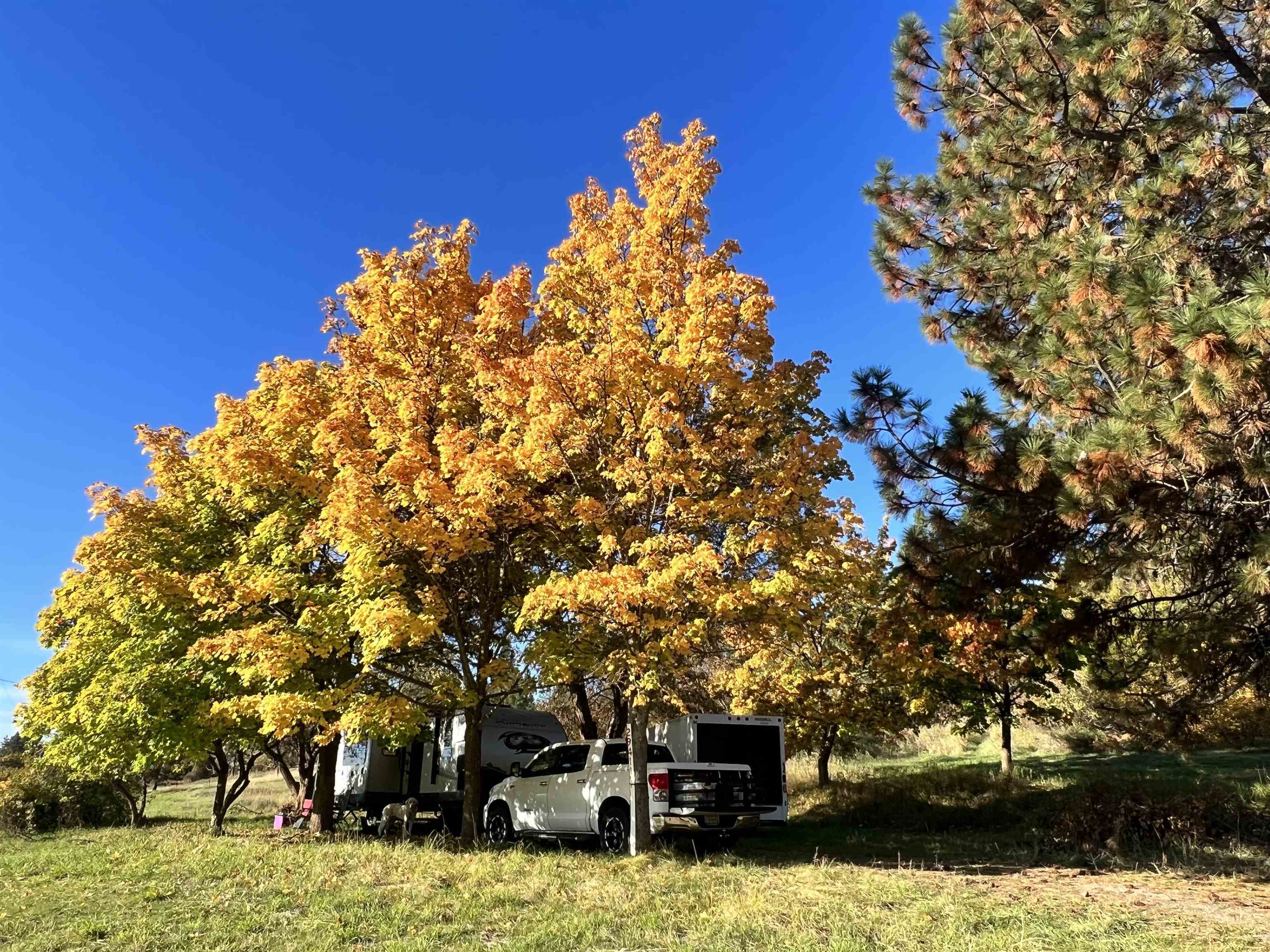 29411 North Dunn Road Chattaroy, WA 99003 - Photo 1 of 41