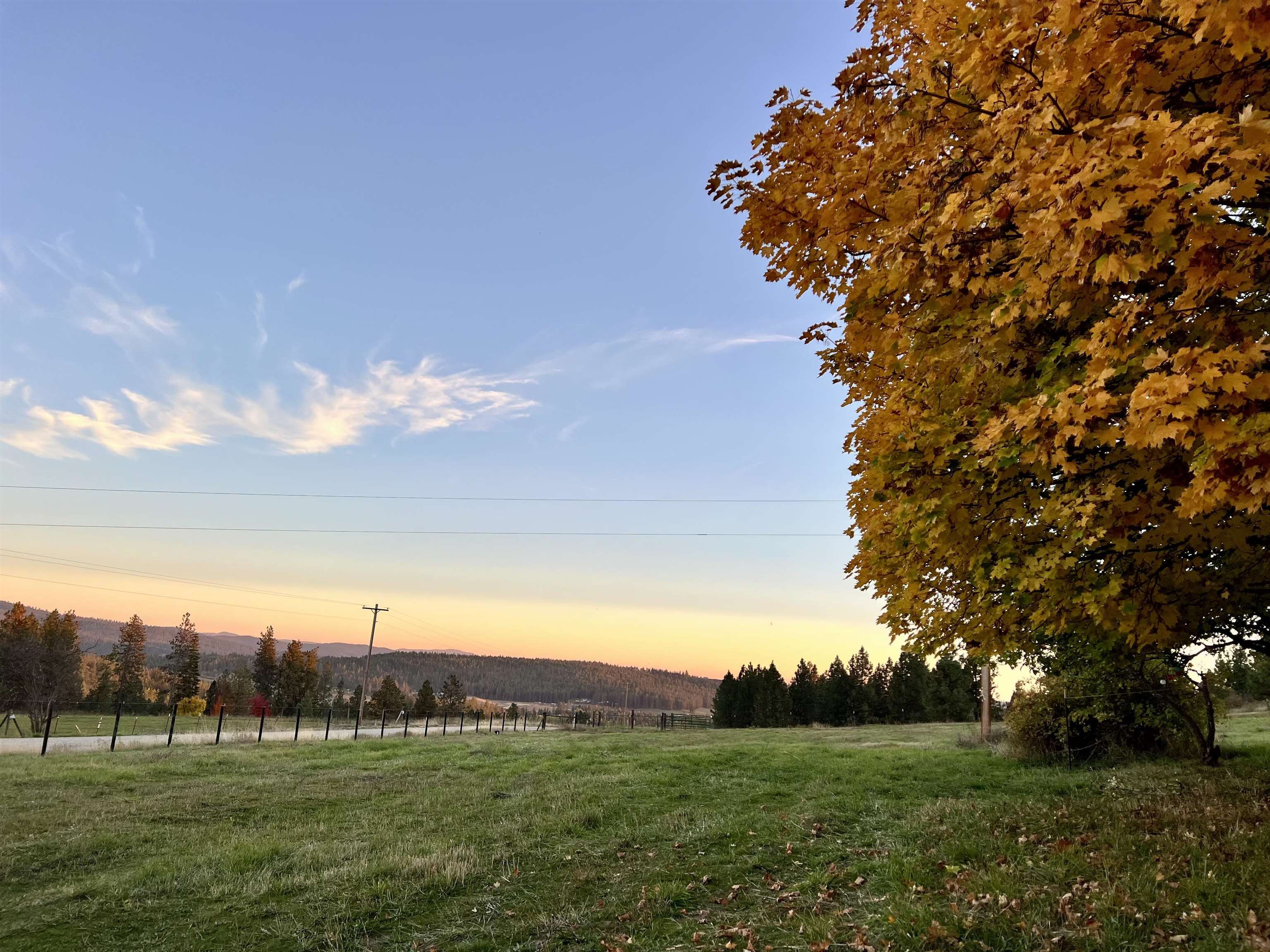 29411 North Dunn Road Chattaroy, WA 99003 - Photo 2 of 41