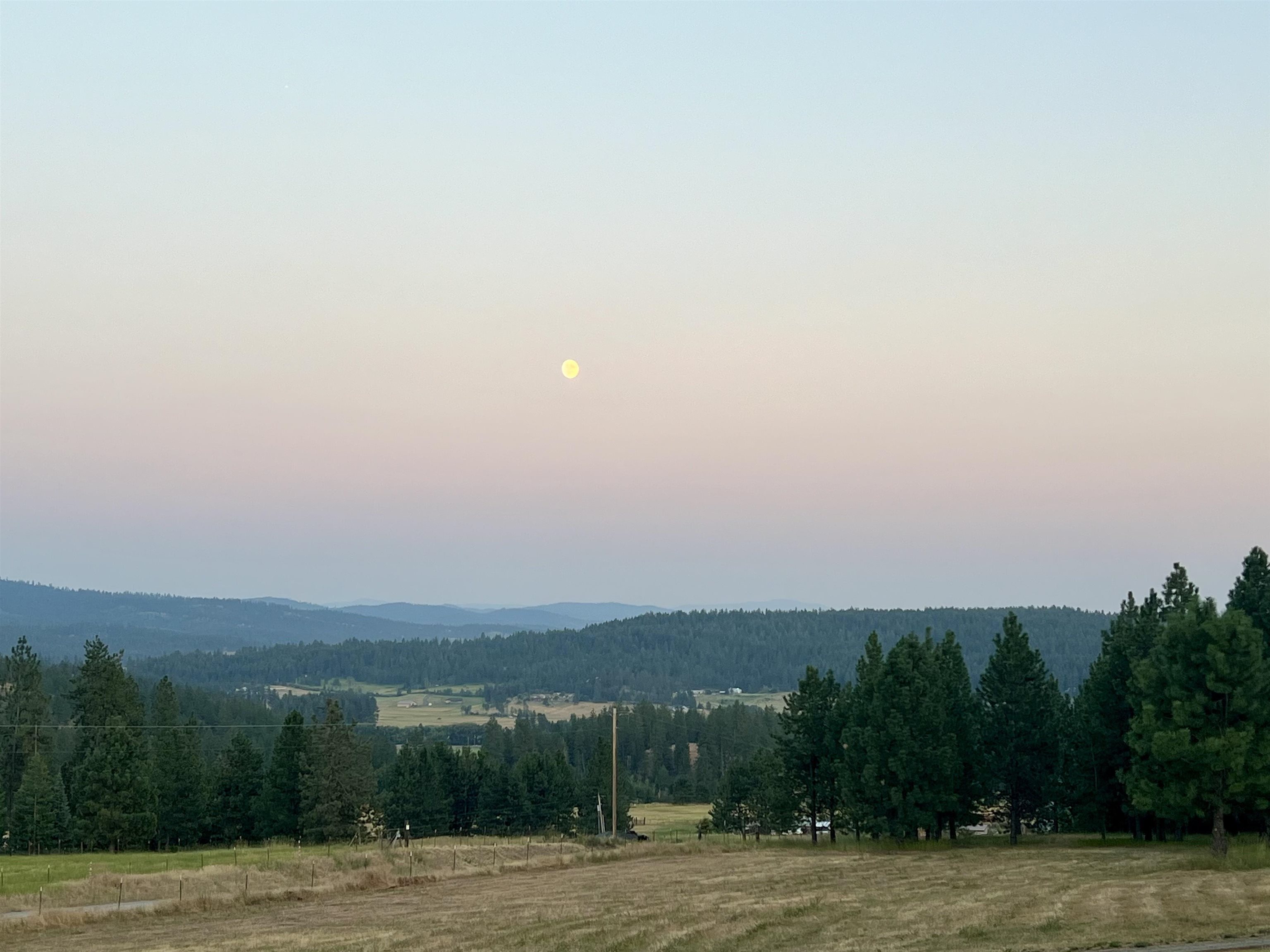 29411 North Dunn Road Chattaroy, WA 99003 - Photo 22 of 41