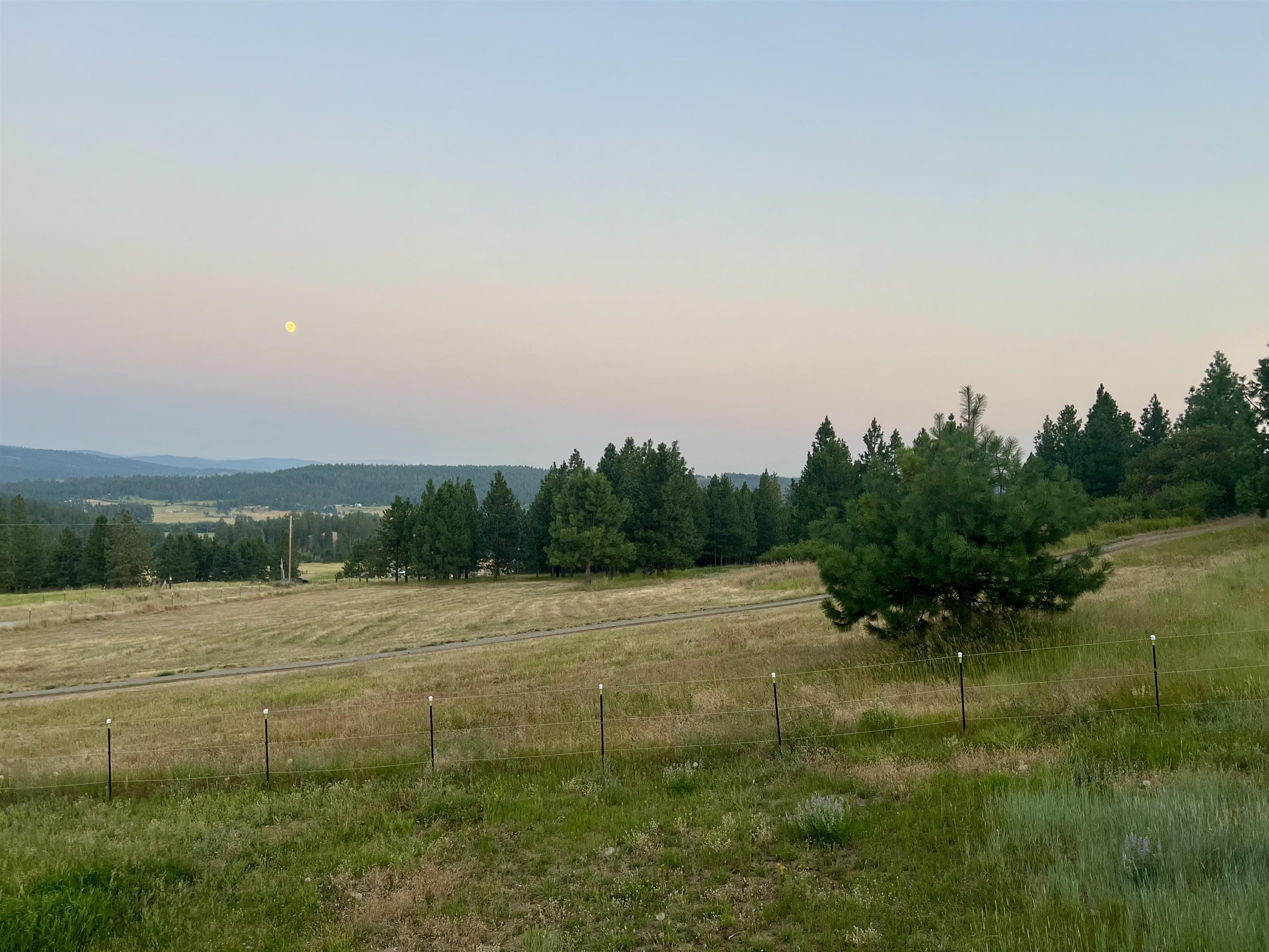 29411 North Dunn Road Chattaroy, WA 99003 - Photo 23 of 41