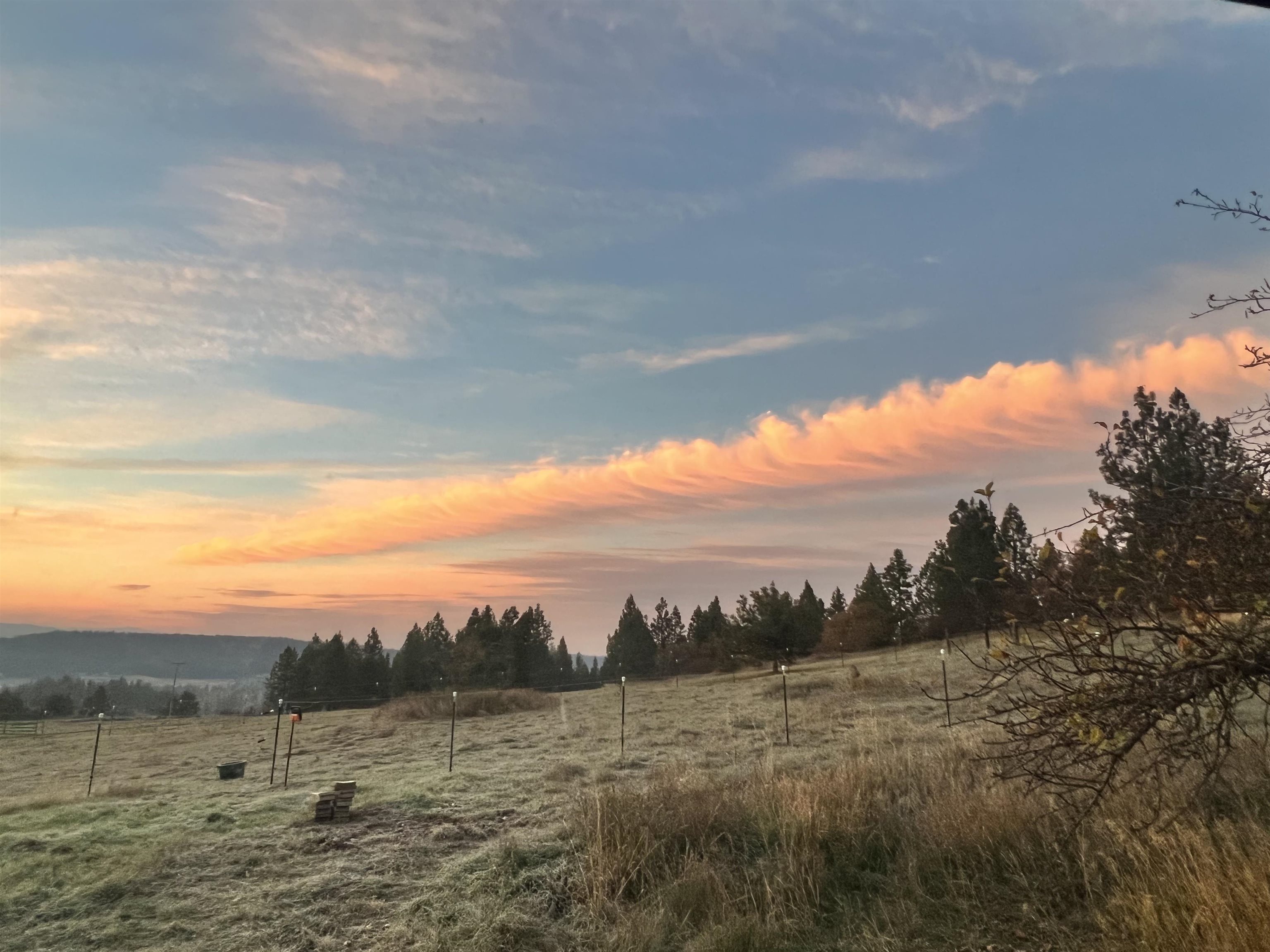 29411 North Dunn Road Chattaroy, WA 99003 - Photo 24 of 41