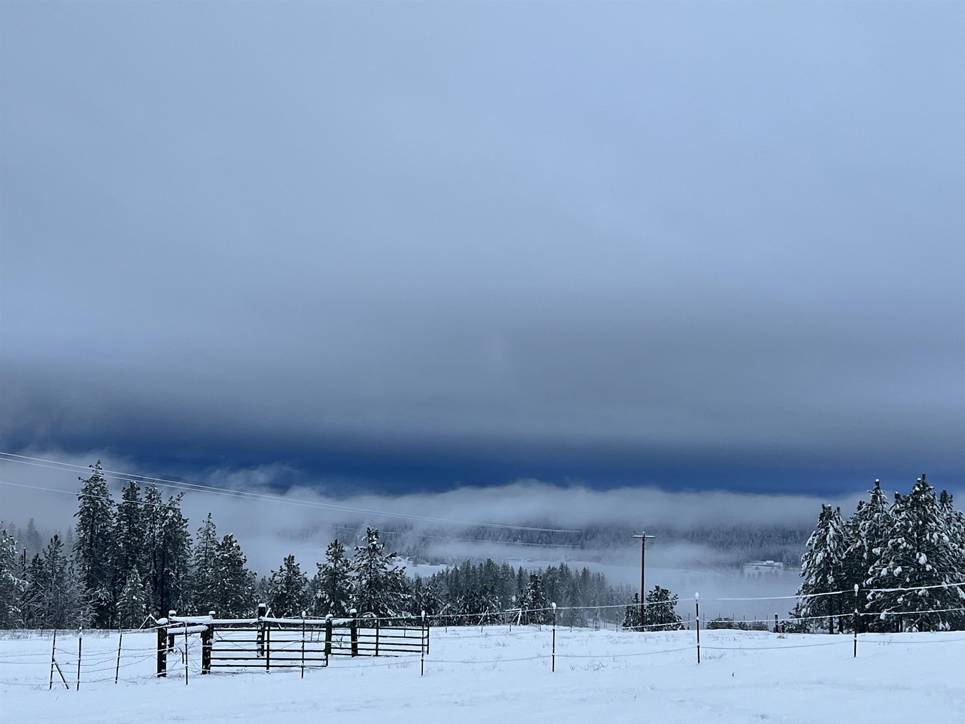 29411 North Dunn Road Chattaroy, WA 99003 - Photo 27 of 41