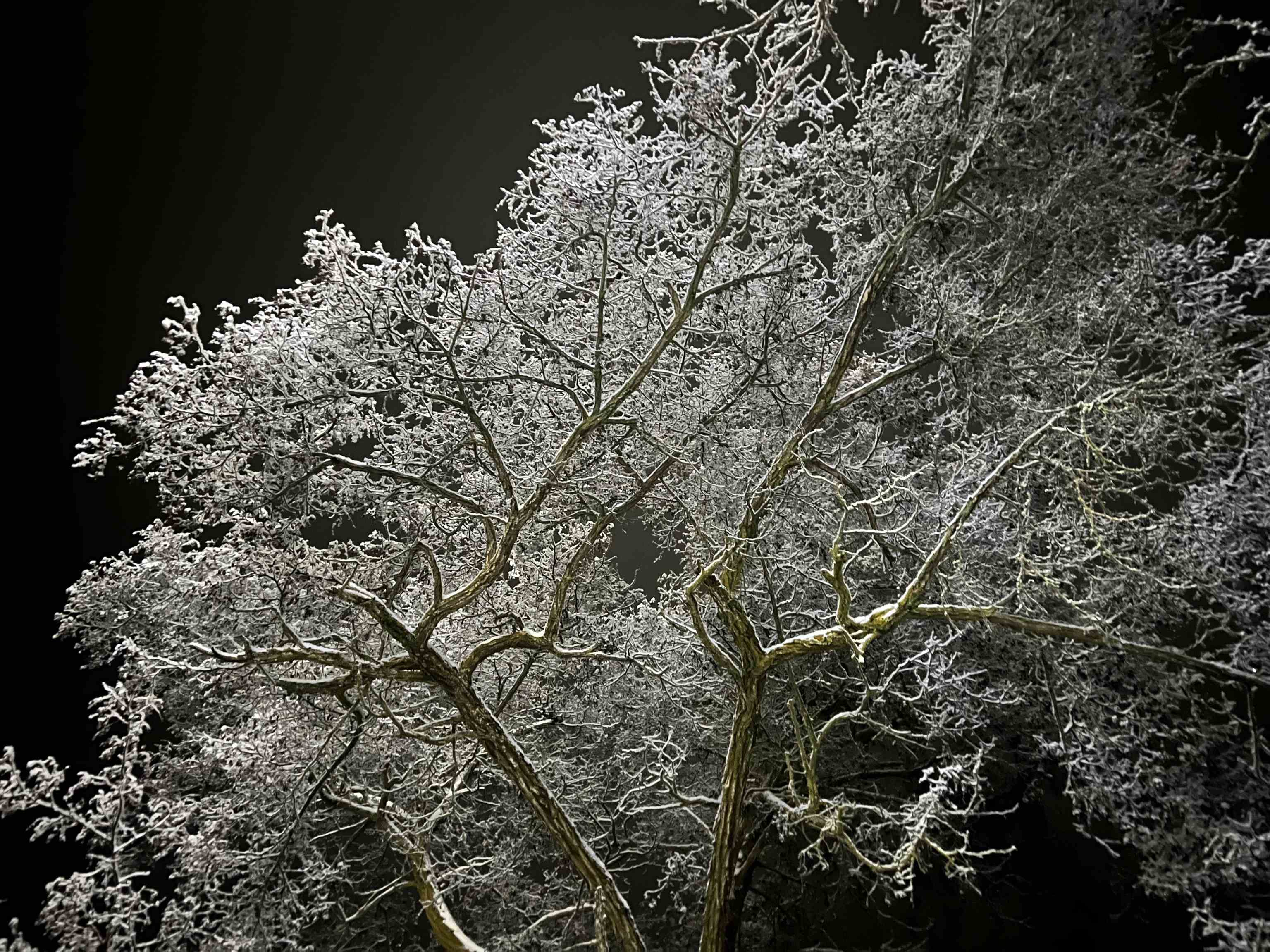 29411 North Dunn Road Chattaroy, WA 99003 - Photo 30 of 41