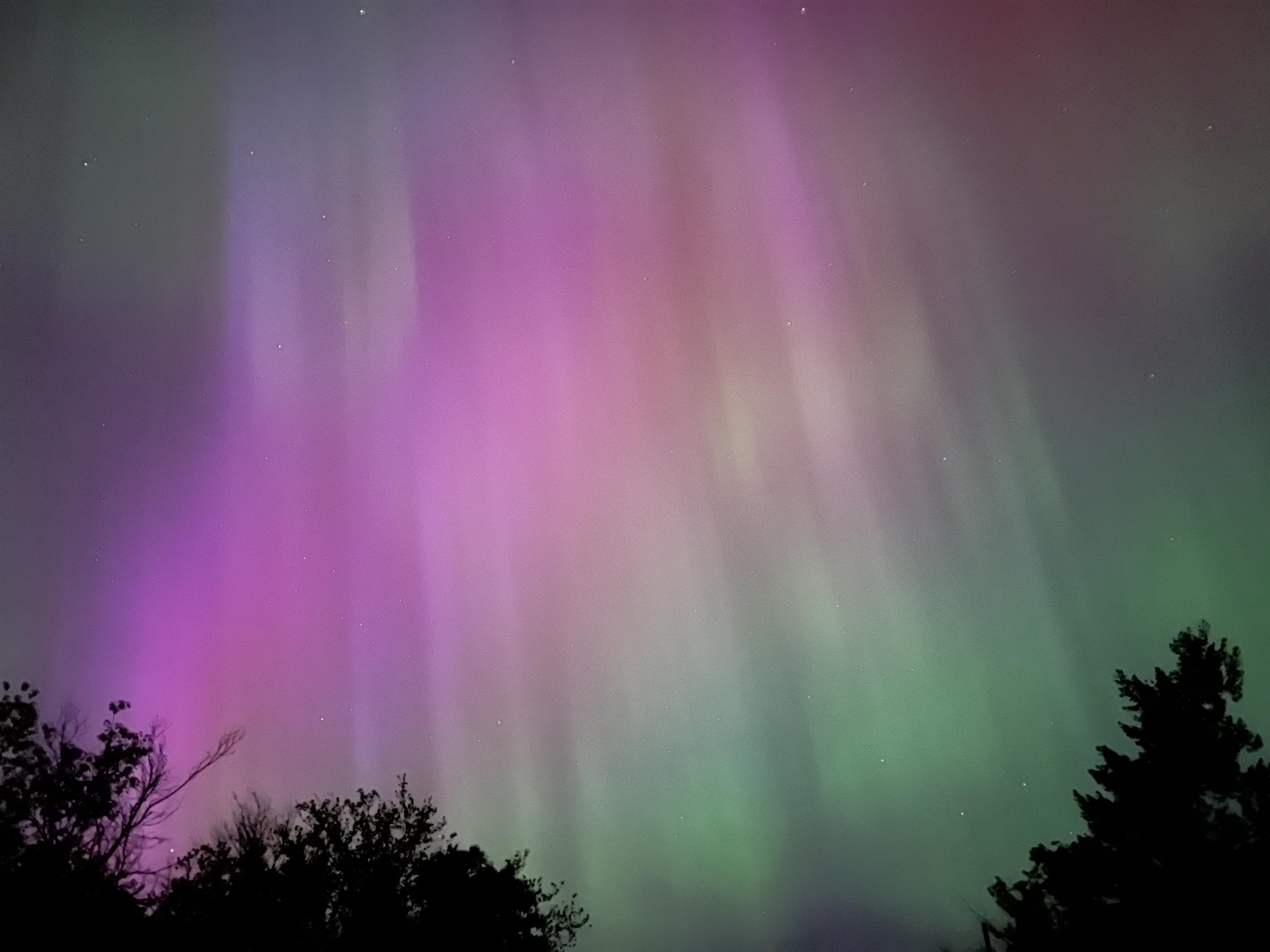 29411 North Dunn Road Chattaroy, WA 99003 - Photo 3 of 41