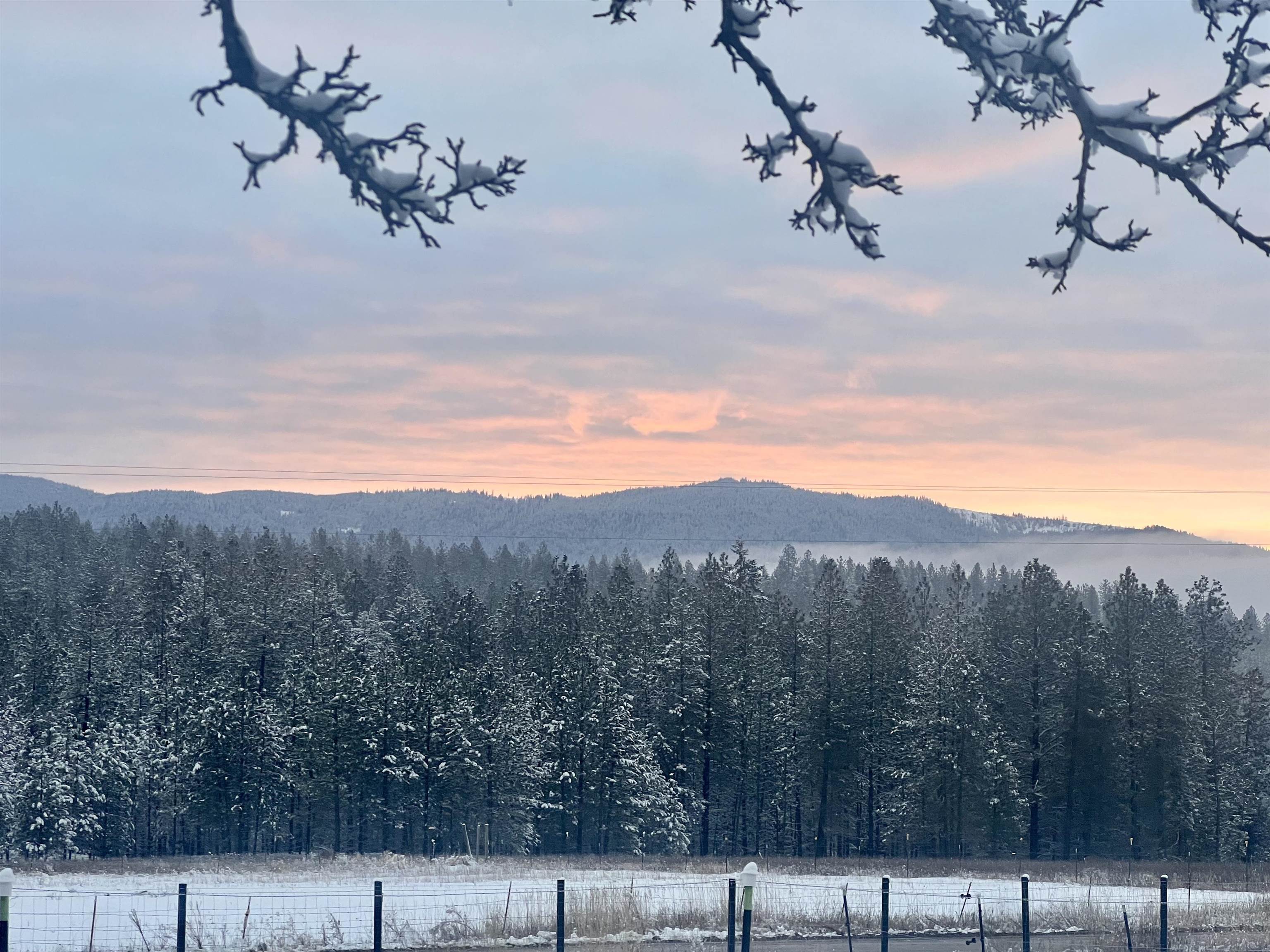 29411 North Dunn Road Chattaroy, WA 99003 - Photo 31 of 41