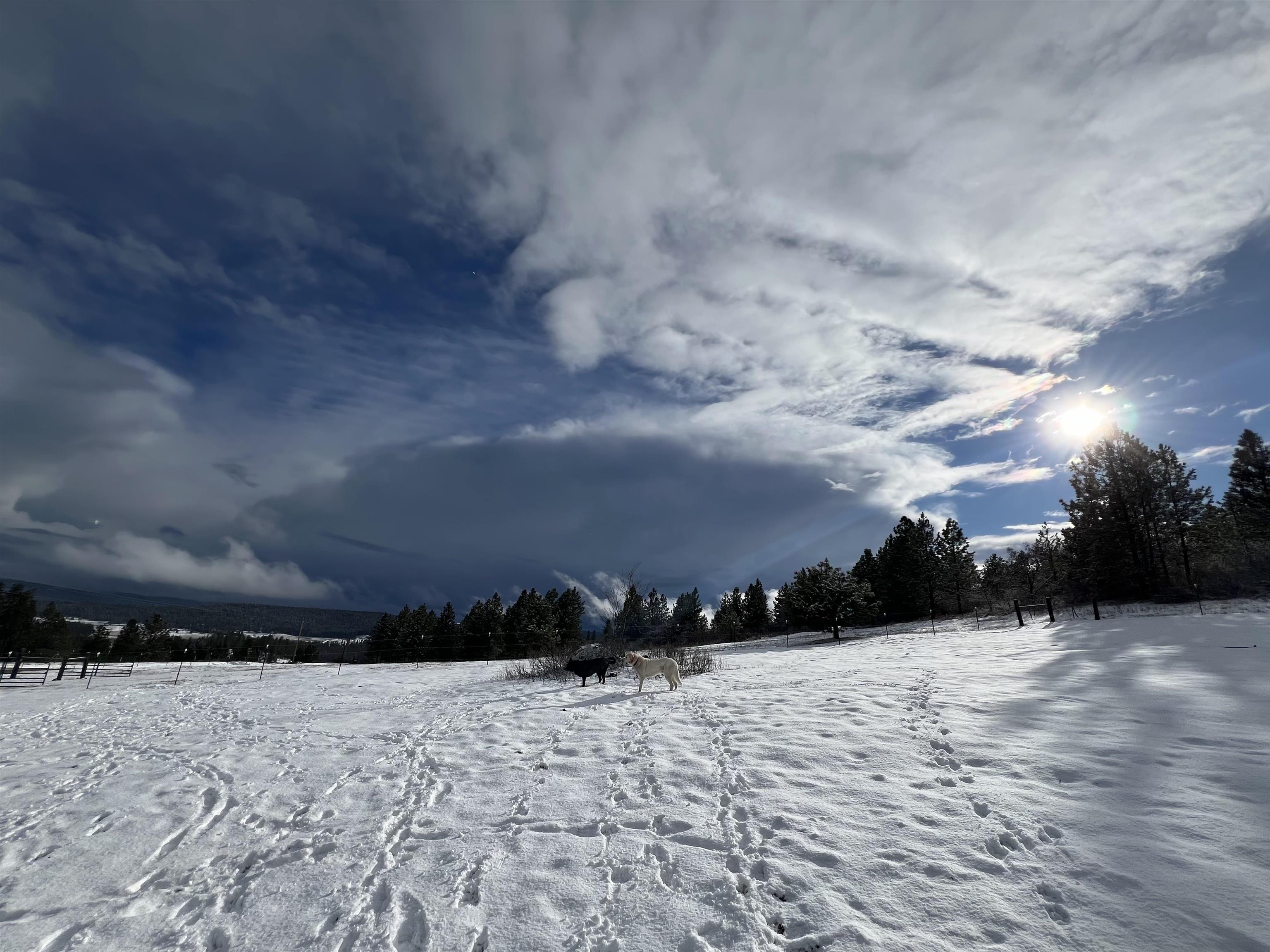 29411 North Dunn Road Chattaroy, WA 99003 - Photo 33 of 41