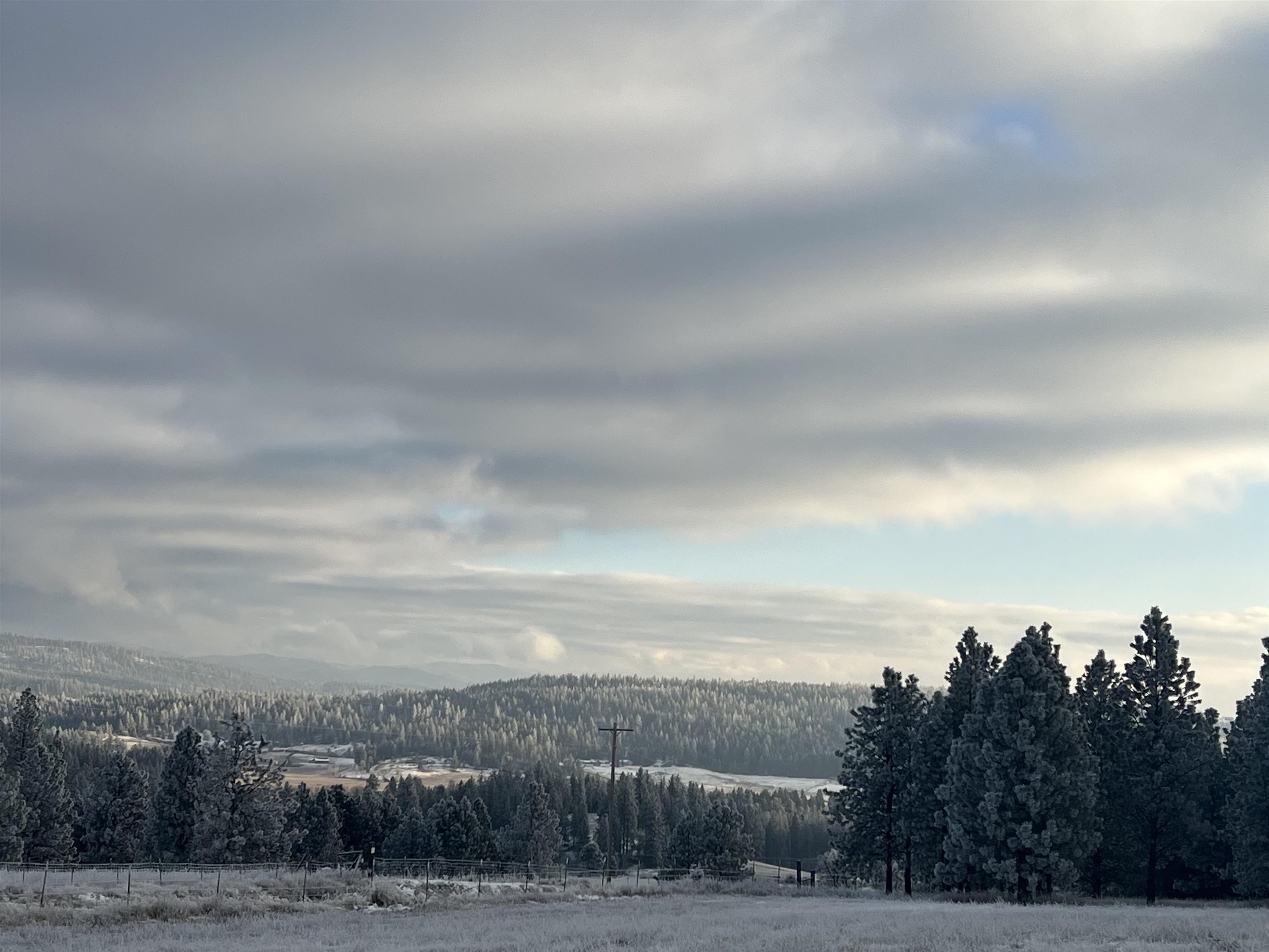 29411 North Dunn Road Chattaroy, WA 99003 - Photo 35 of 41