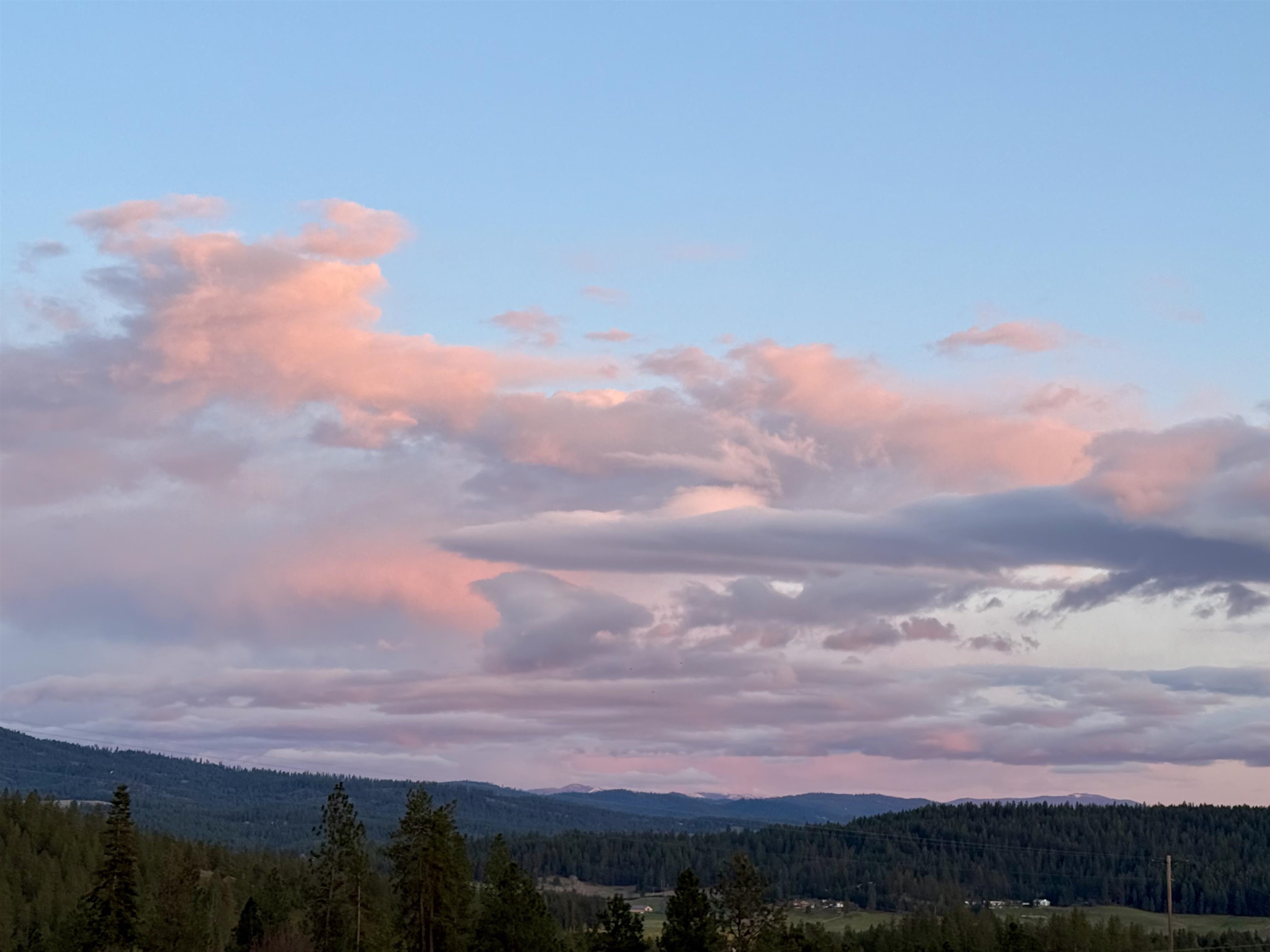 29411 North Dunn Road Chattaroy, WA 99003 - Photo 39 of 41