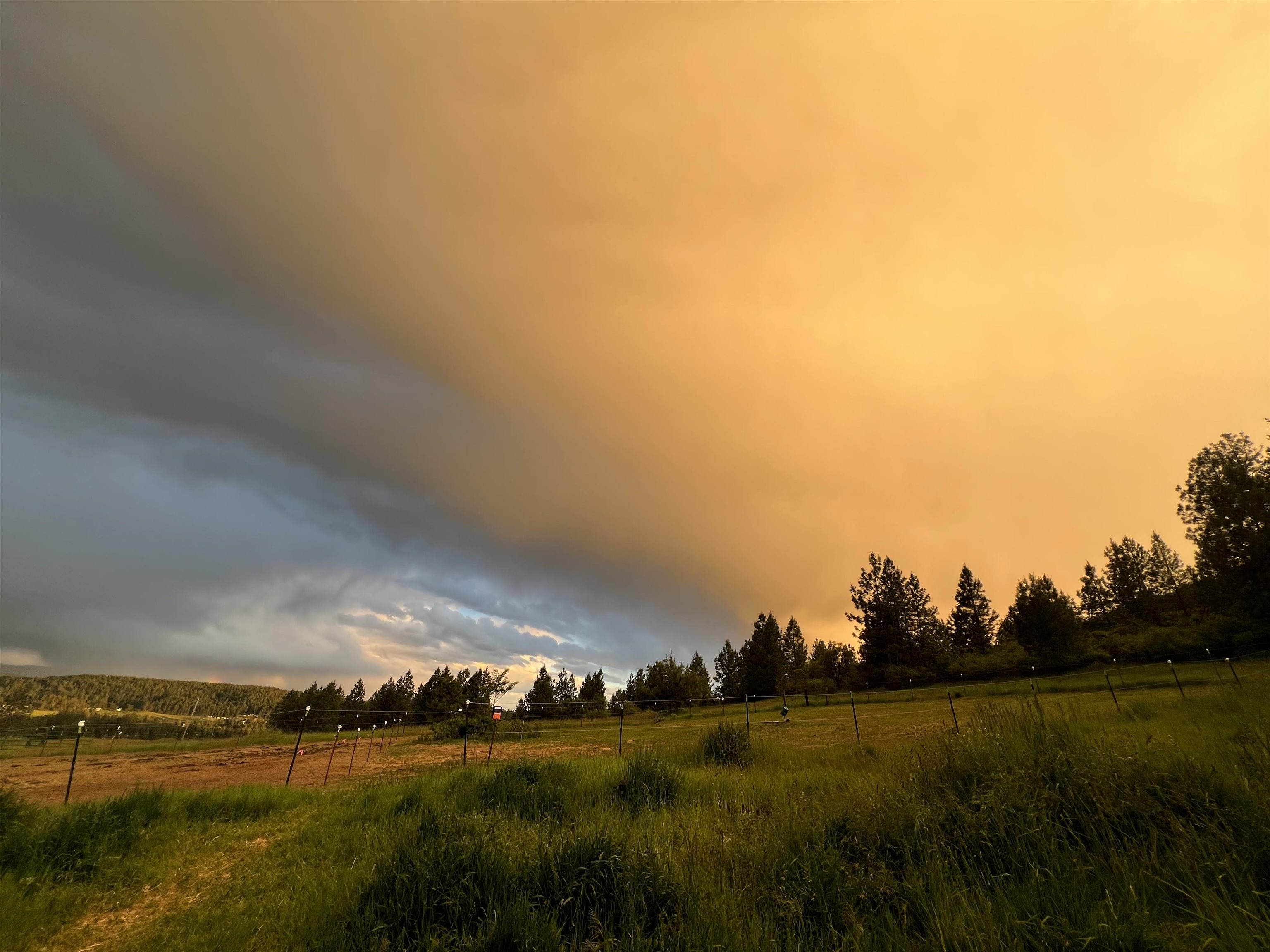 29411 North Dunn Road Chattaroy, WA 99003 - Photo 5 of 41