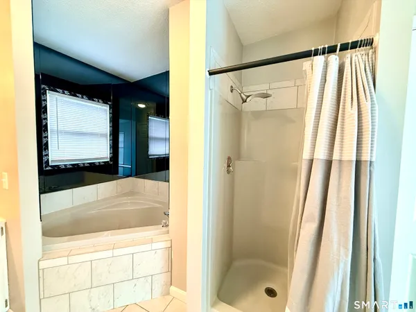 a bathroom with a shower and a tub