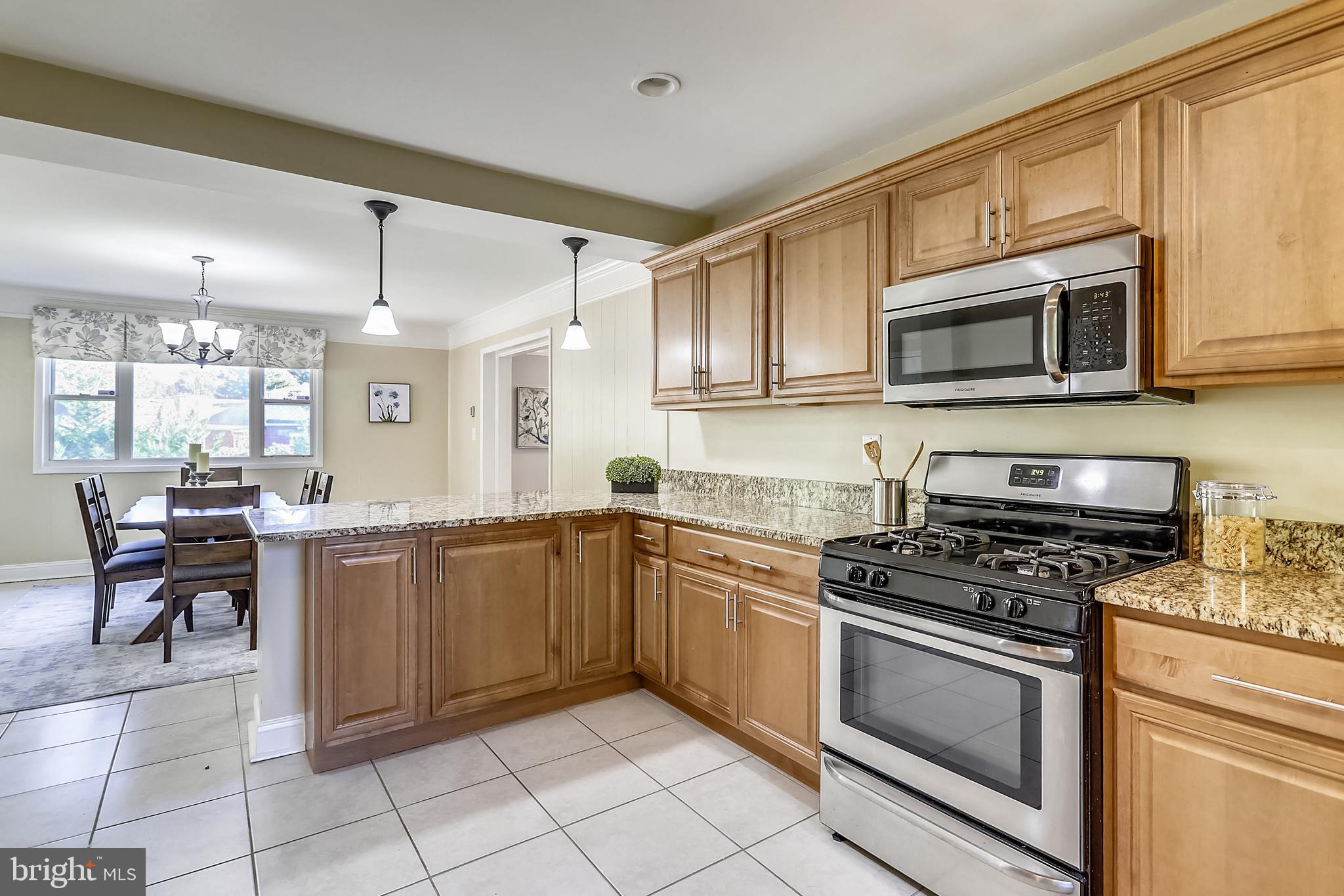 513 Harding Drive Silver Spring, MD 20901 - Photo 11 of 36 Stainless Appliances, Granite Countertops
