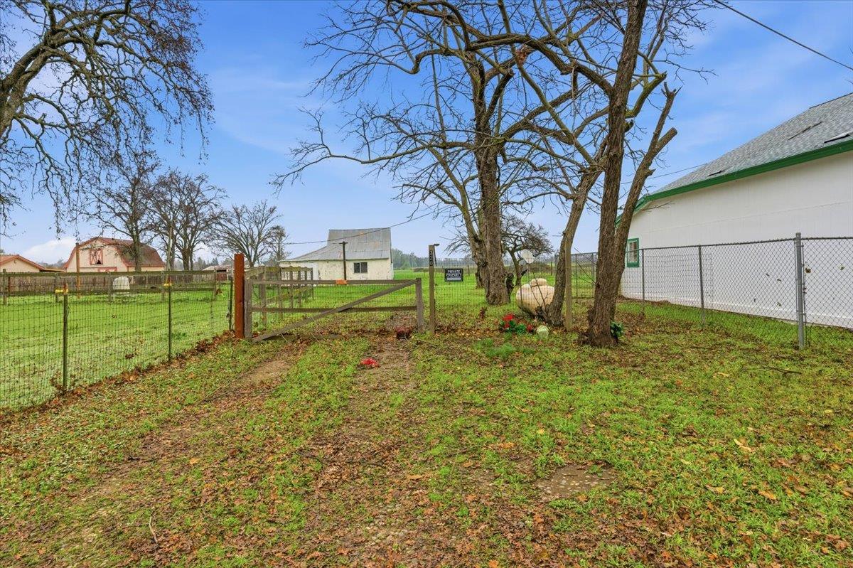 320 West Wise Road Lincoln, CA 95648 - Photo 20 of 28 a view of a yard with a tree