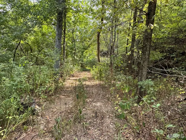 $875,000 | 2674 Highway 17, Iberia, MO 65486