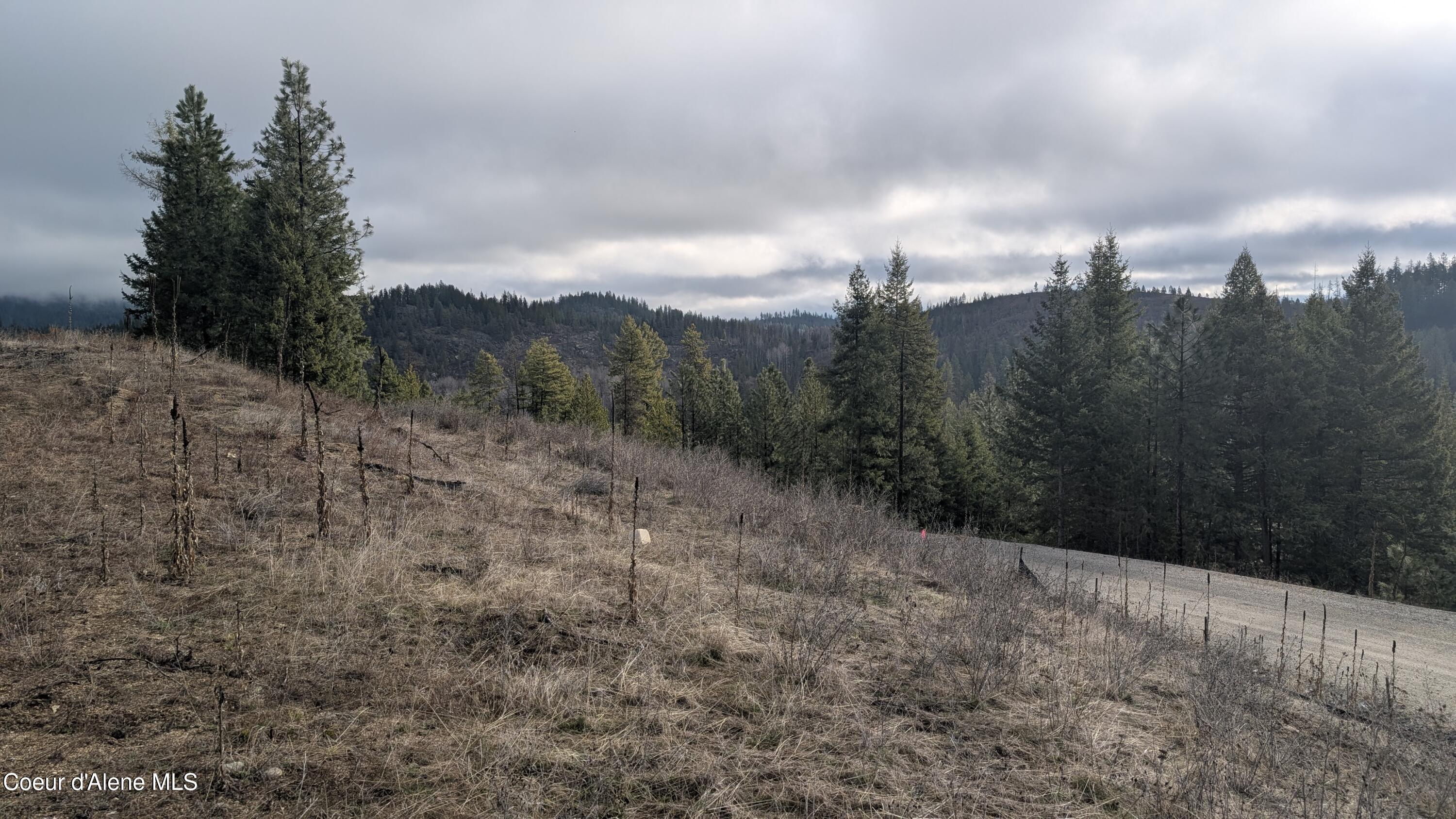 L3 Contour Lane Athol, ID 83801 - Photo 10 of 10 PXL_20260305_164040313