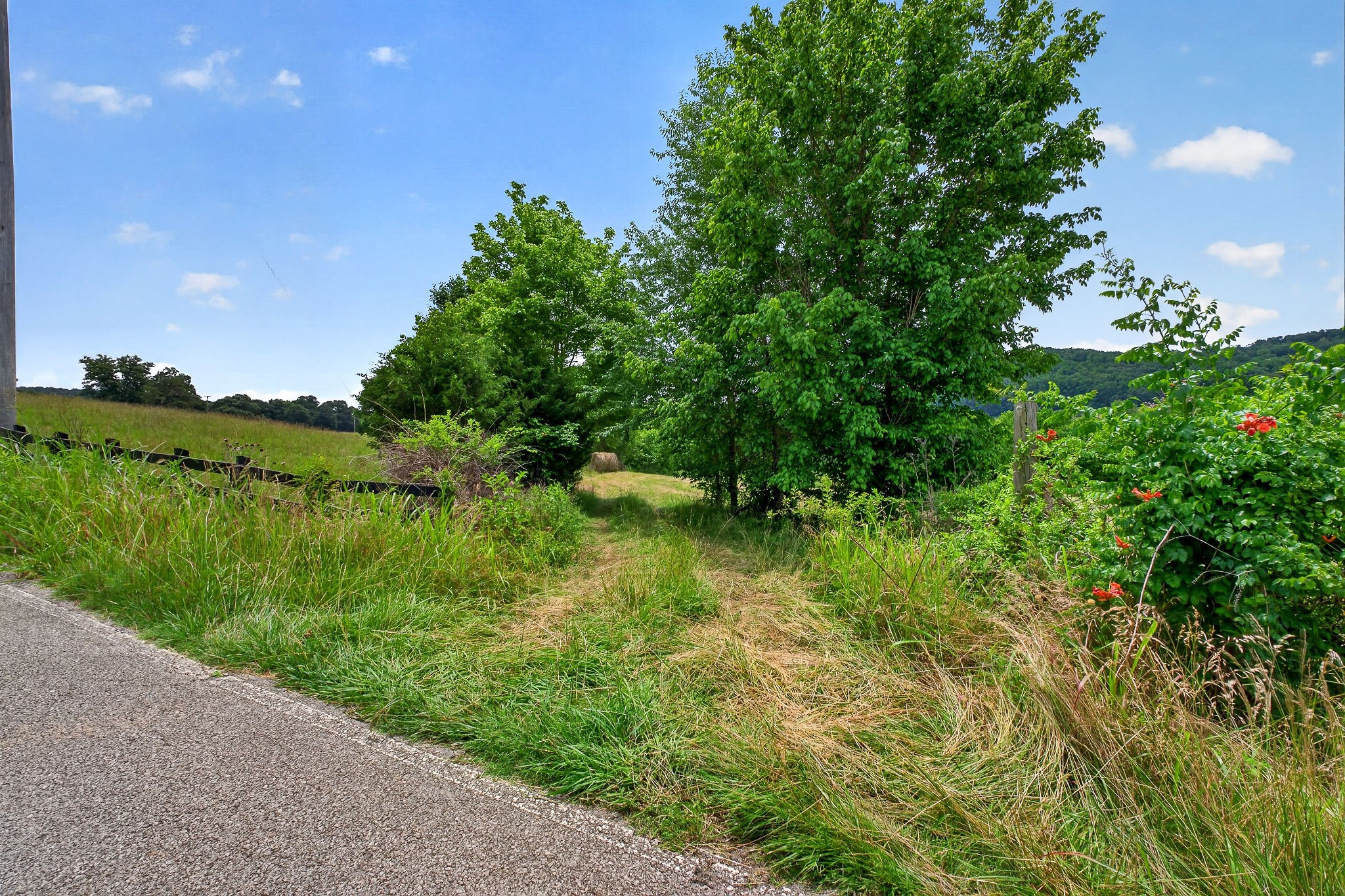 200 Max Lane Rickman, TN 38580 - Photo 46 of 54