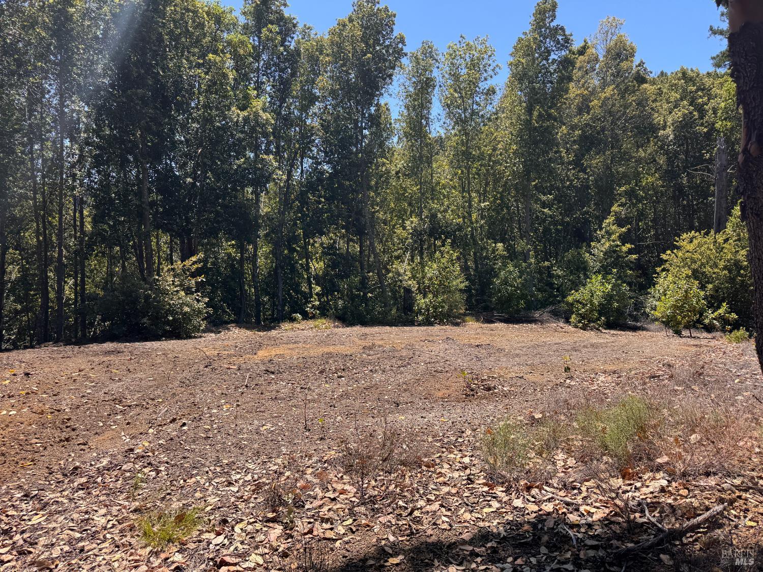 21530 Fort Ross Road Cazadero, CA 95421 - Photo 37 of 56