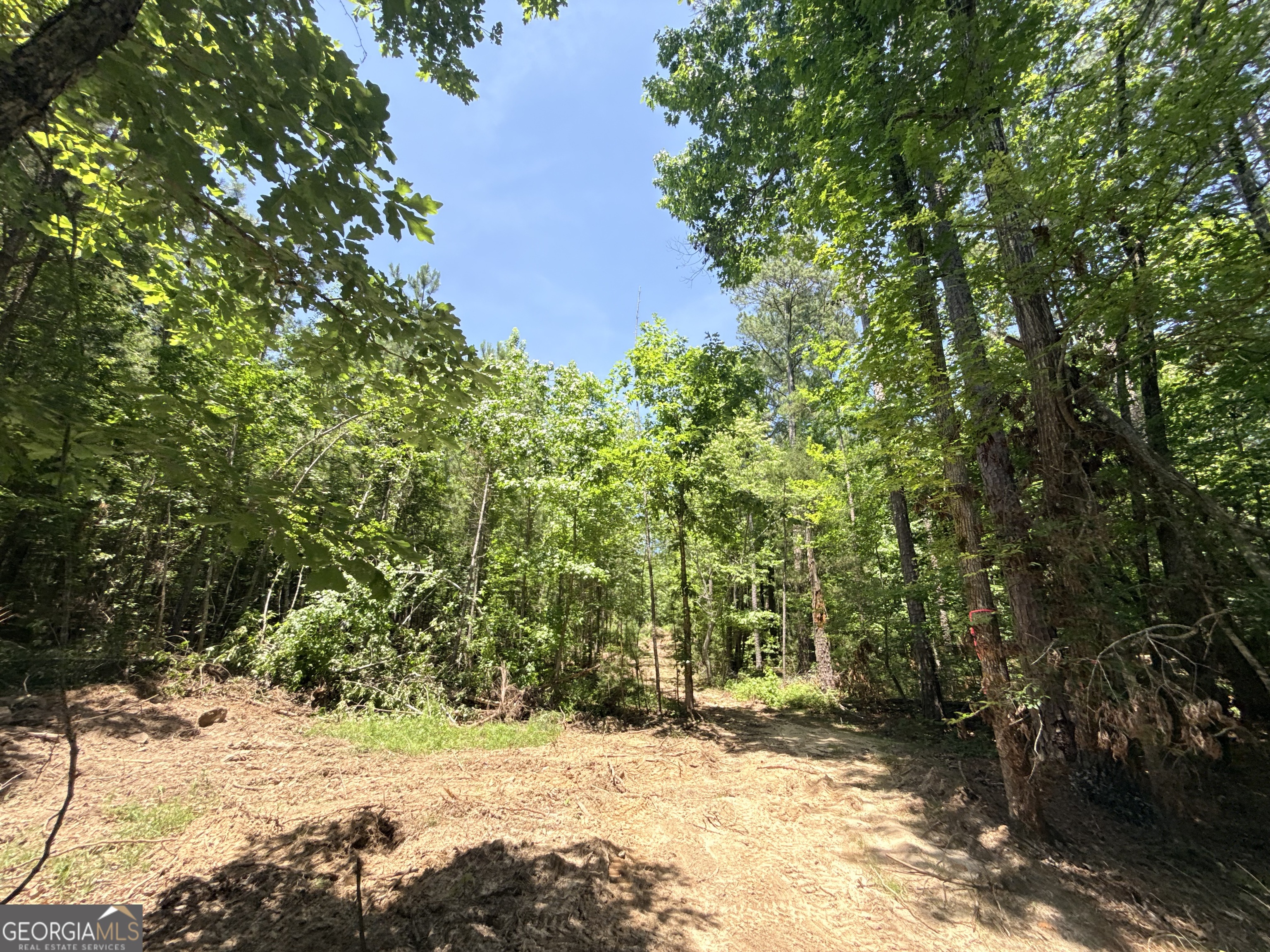 2807 Cedar Creek Road Elberton, GA 30635 - Photo 77 of 109