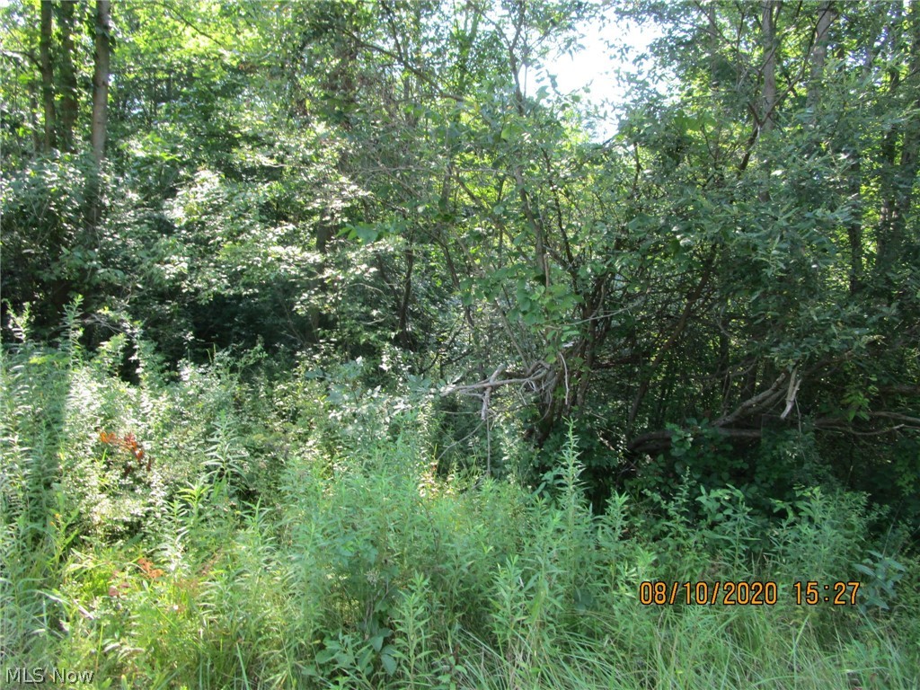 Countyline Road Geneva, OH 44041 - Photo 5 of 20
