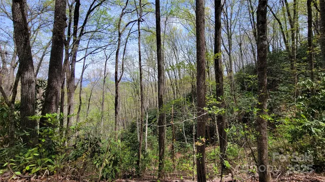 a view of backyard with green space