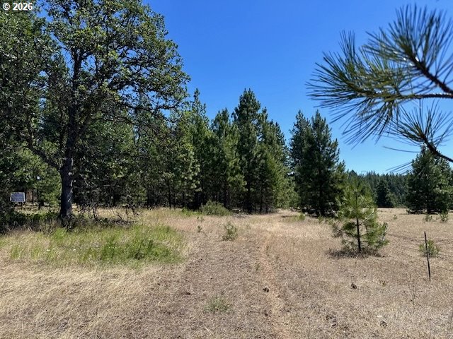 41 Timber Drive Goldendale, WA 98620 - Photo 18 of 23