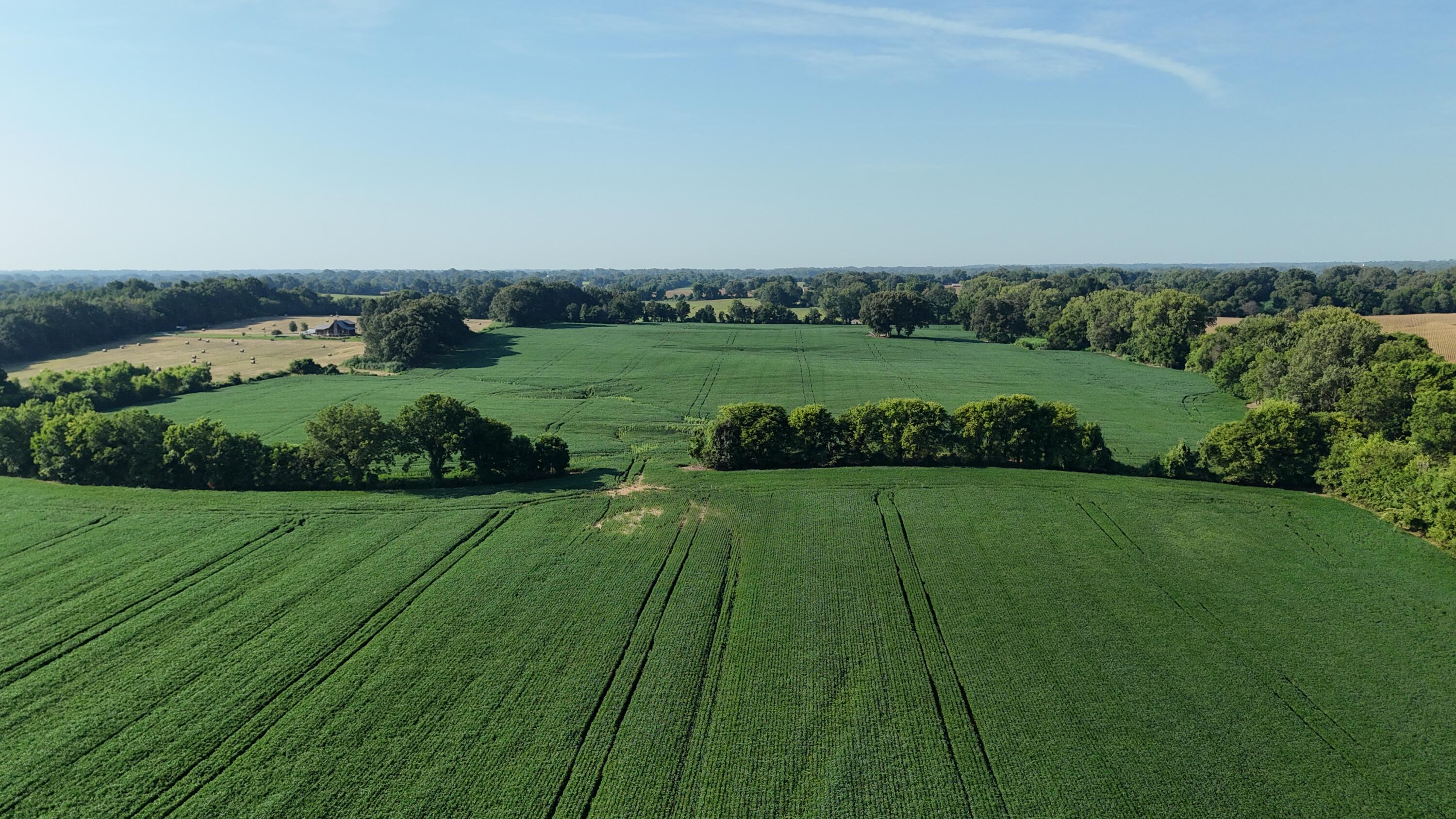 3920 Antioch Highway 51 Road Covington, TN 38019 - Photo 19 of 32 DJI_20250819103341_0134_D