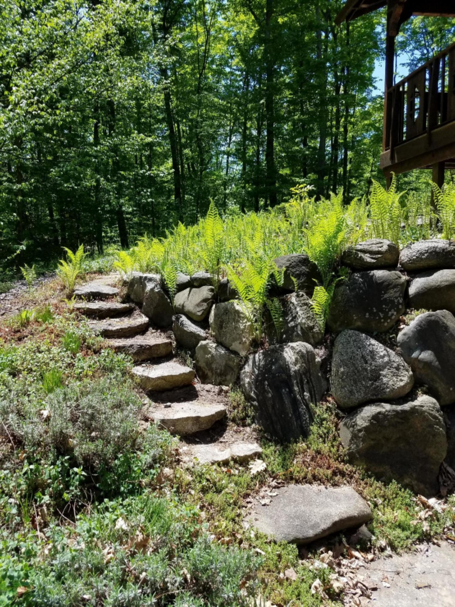4505 Barney Road Traverse City, MI 49684 - Photo 18 of 56 Steps from the lower patio